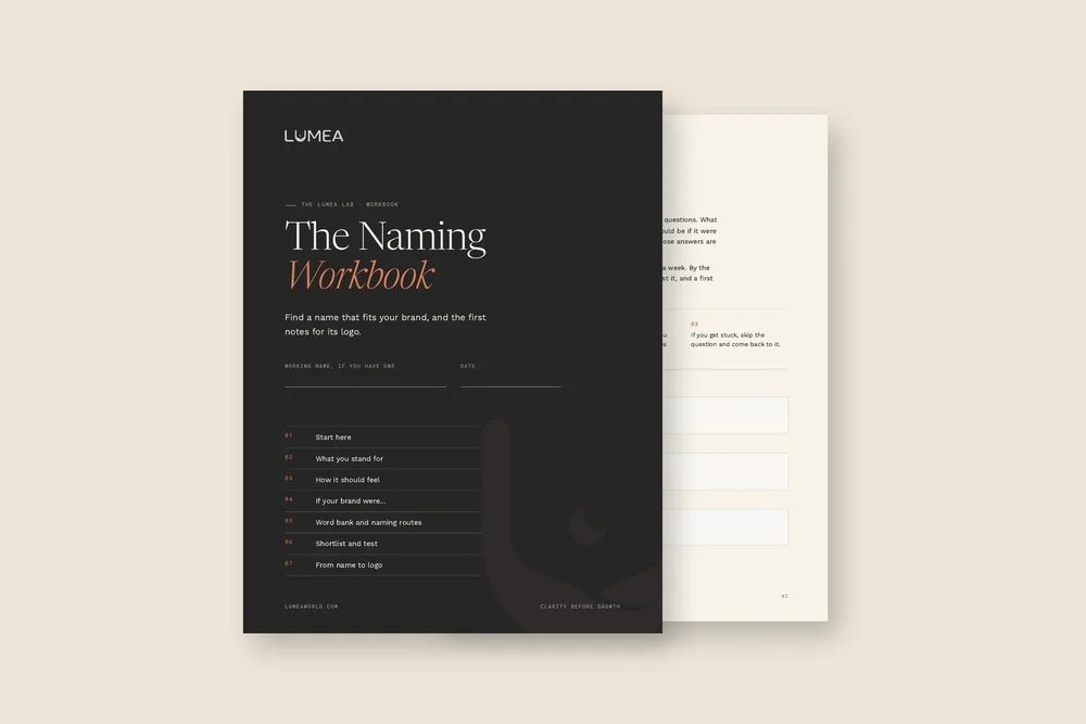 Cover and first page of the The Naming Workbook