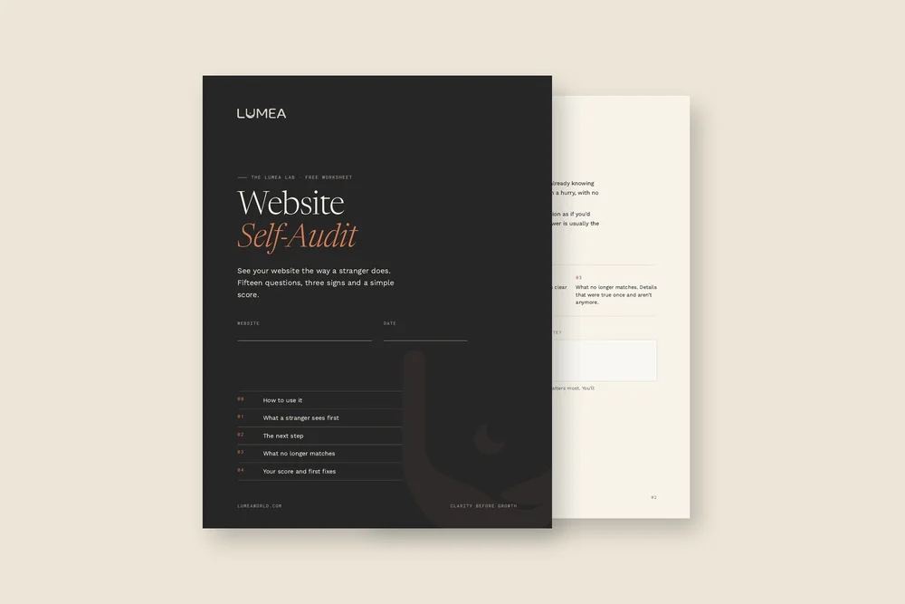Cover and first page of the Website Self-Audit