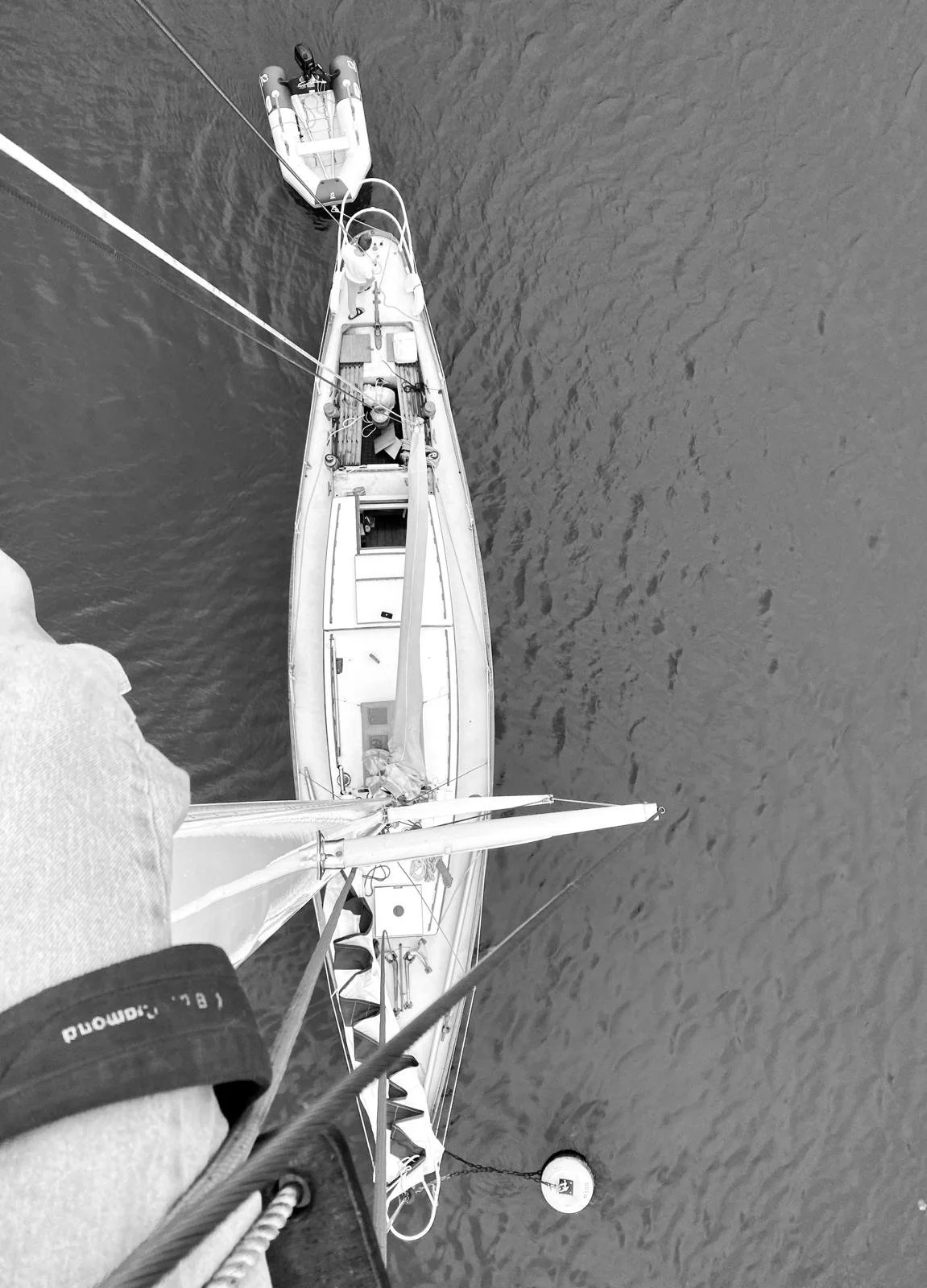 Built for speed .jpeg