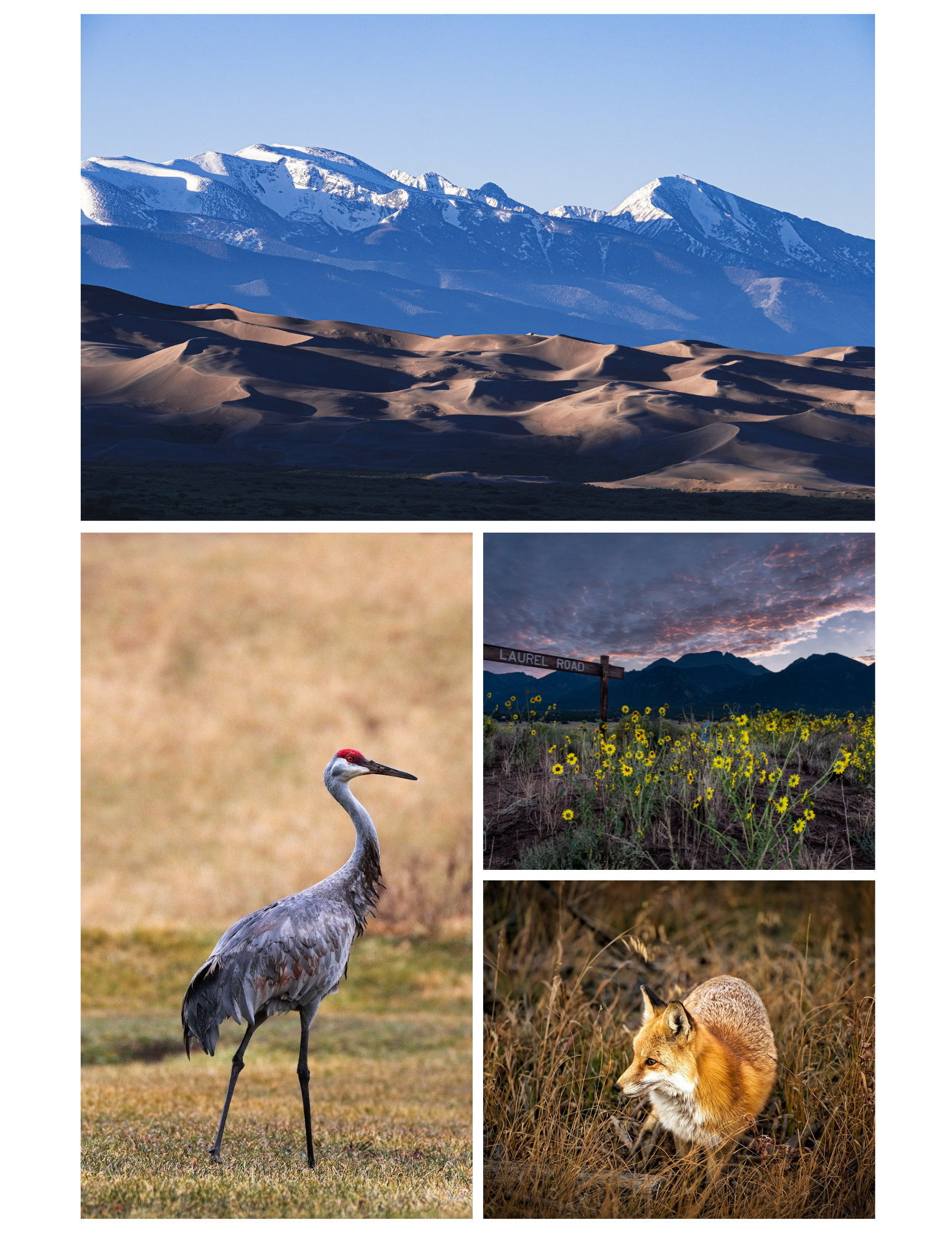 Final Copy for Print San Luis Valley Guidebook (12).png