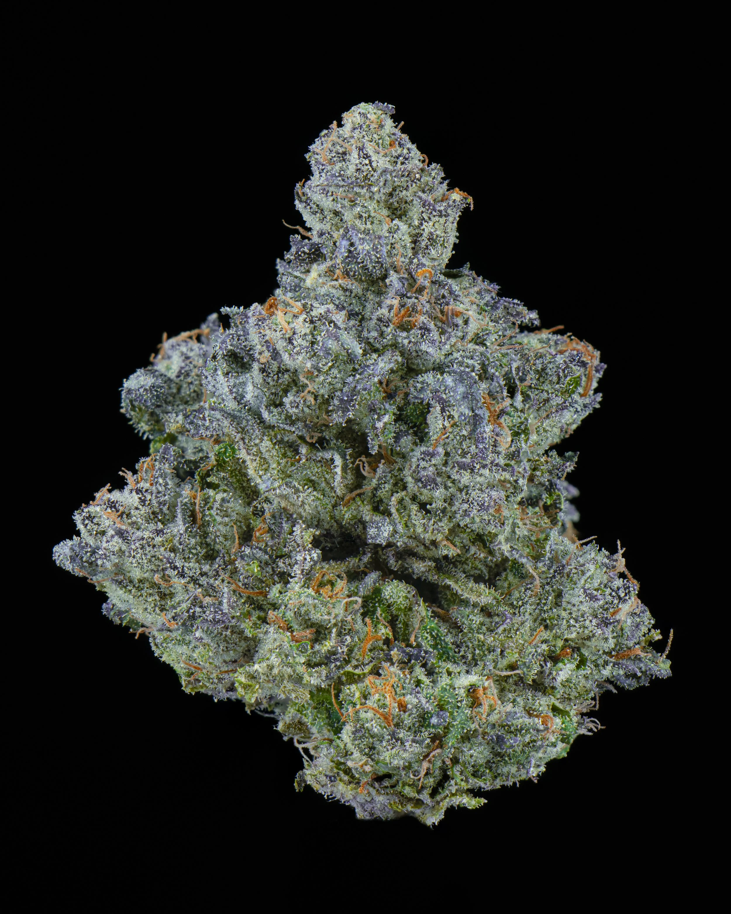 PIT BOSS SINGLE NUG BLACK-4.jpg