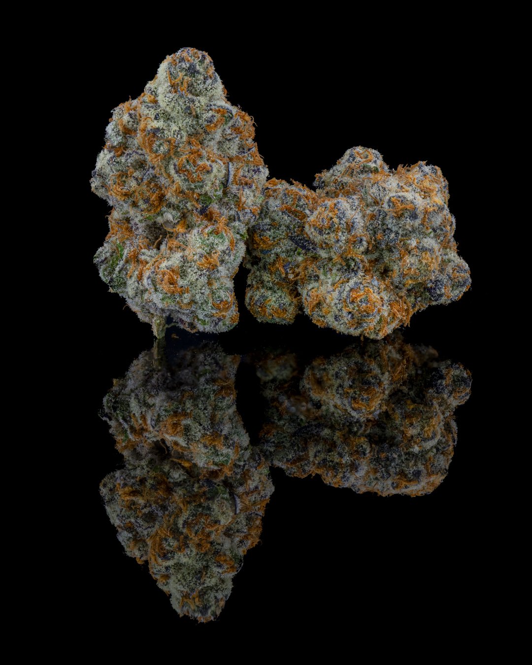 ASTRONAUT STATUS - FUNKS SHOOT 1  - CURED MENU-6.jpg