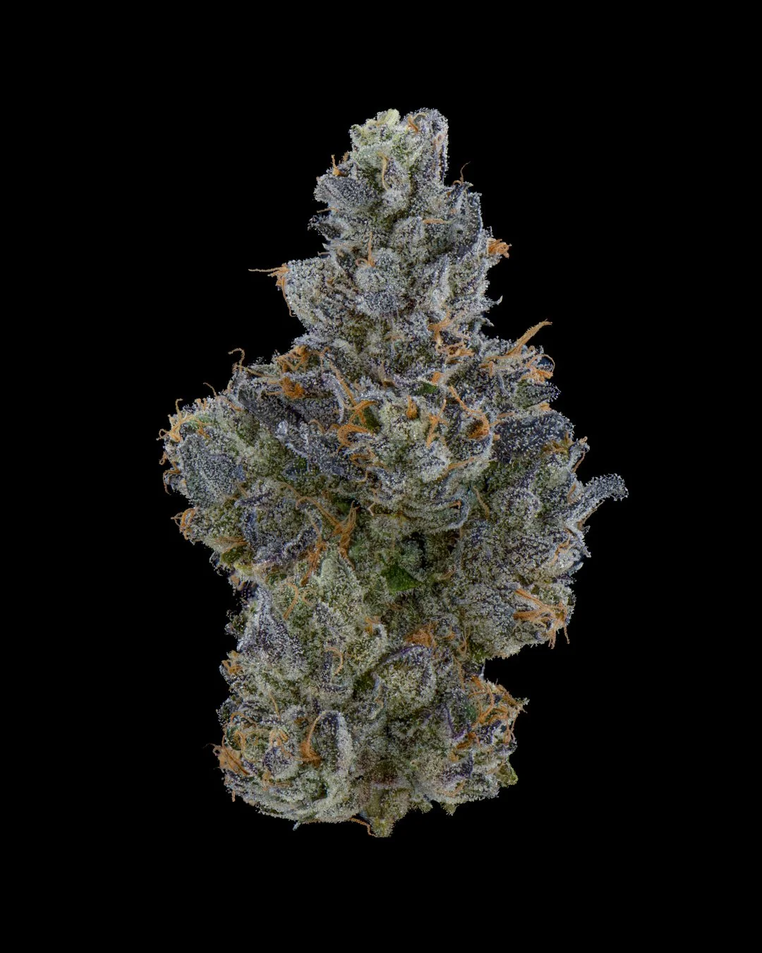 EMERGEN-C - FUNKS SHOOT 1  - CURED MENU-2.jpg