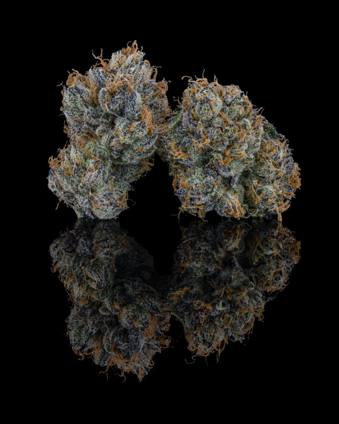 BLUE RUNTZ - FUNKS SHOOT 1  - CURED MENU-8.jpg