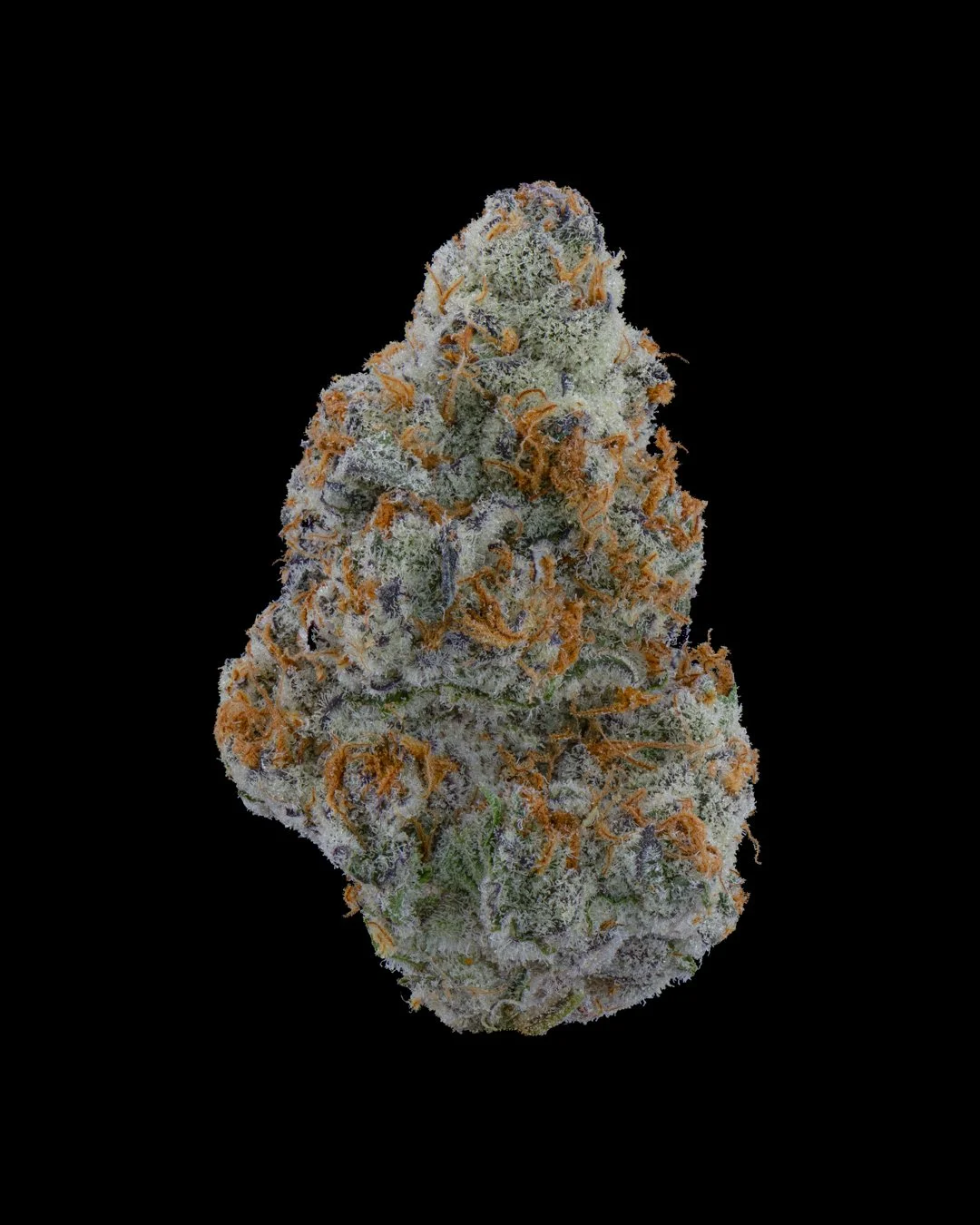 ASTRONAUT STATUS - FUNKS SHOOT 1  - CURED MENU.jpg