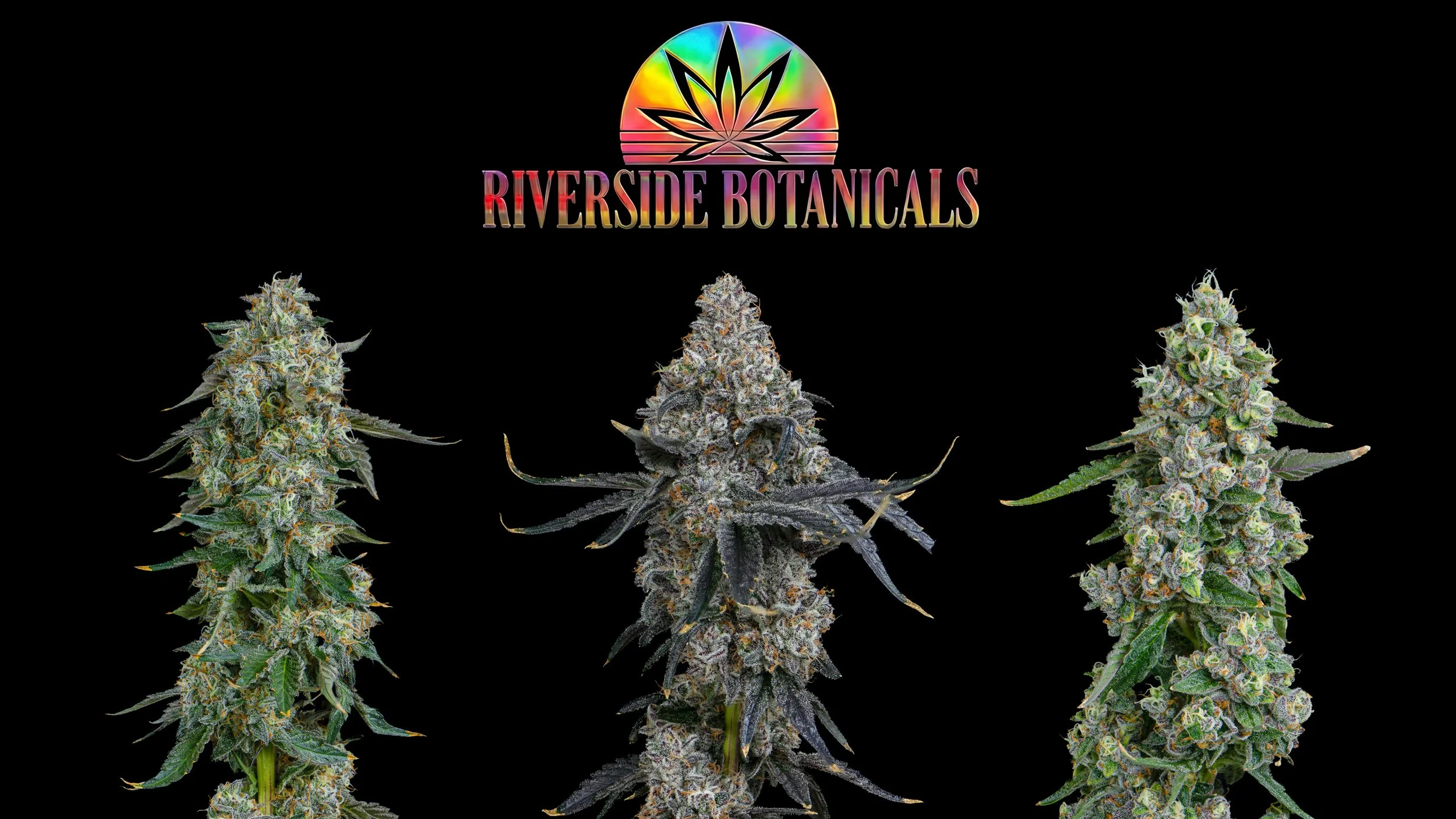 Riverside Vibes - Oklahoma