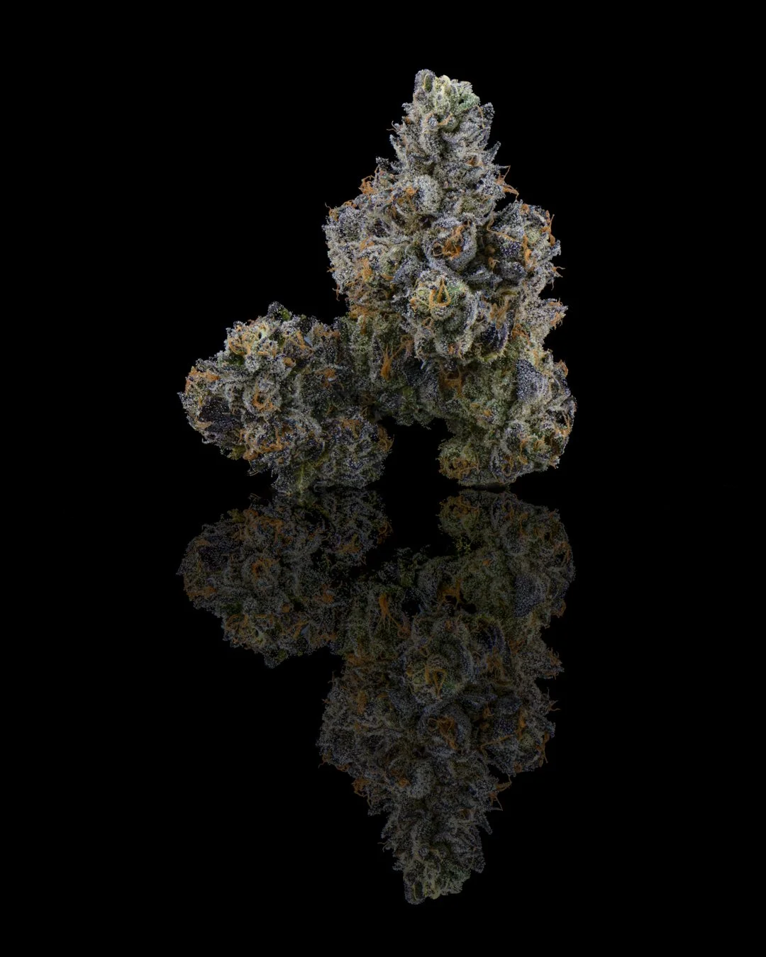 EMERGEN-C - FUNKS SHOOT 1  - CURED MENU-2 copy.jpg