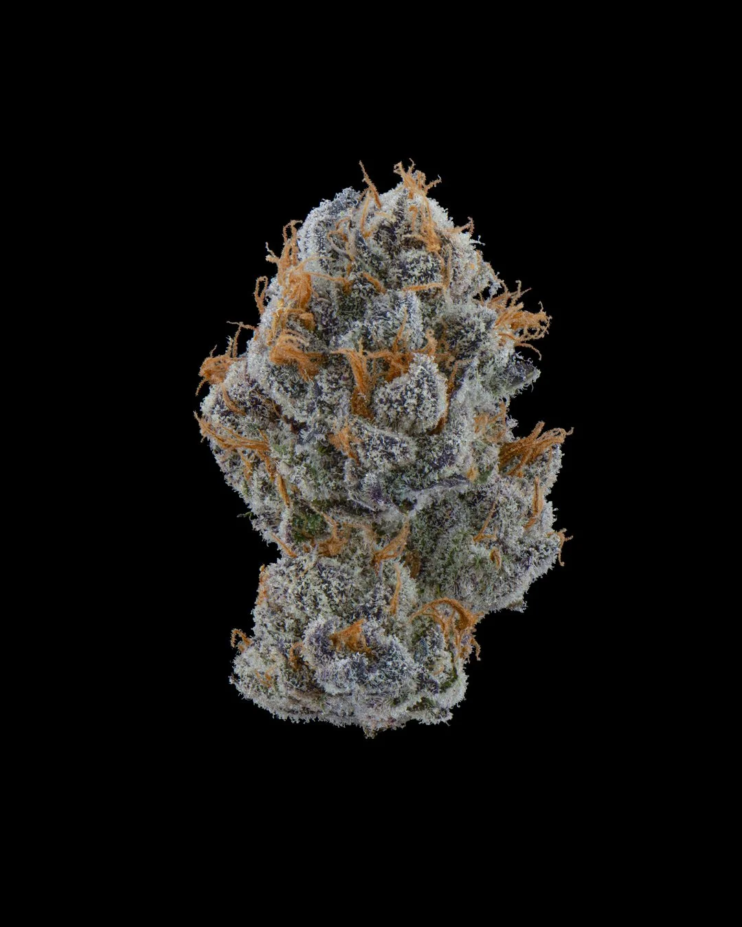 CANDIED ORANGES - FUNKS SHOOT 1  - CURED MENU.jpg