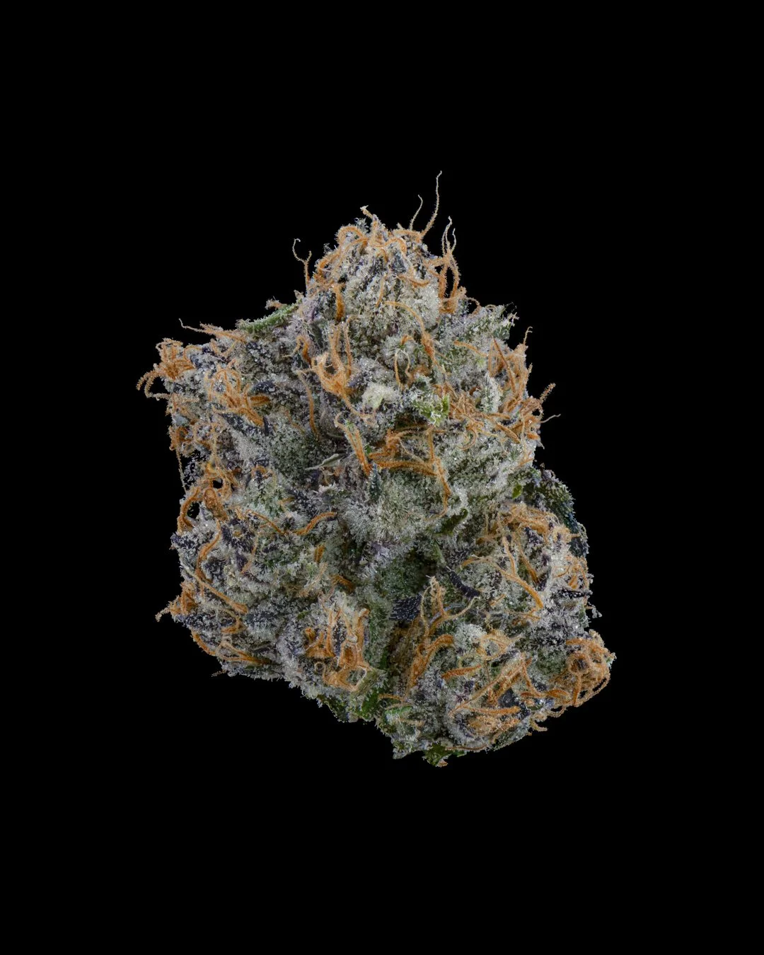 BLUE RUNTZ - FUNKS SHOOT 1  - CURED MENU.jpg