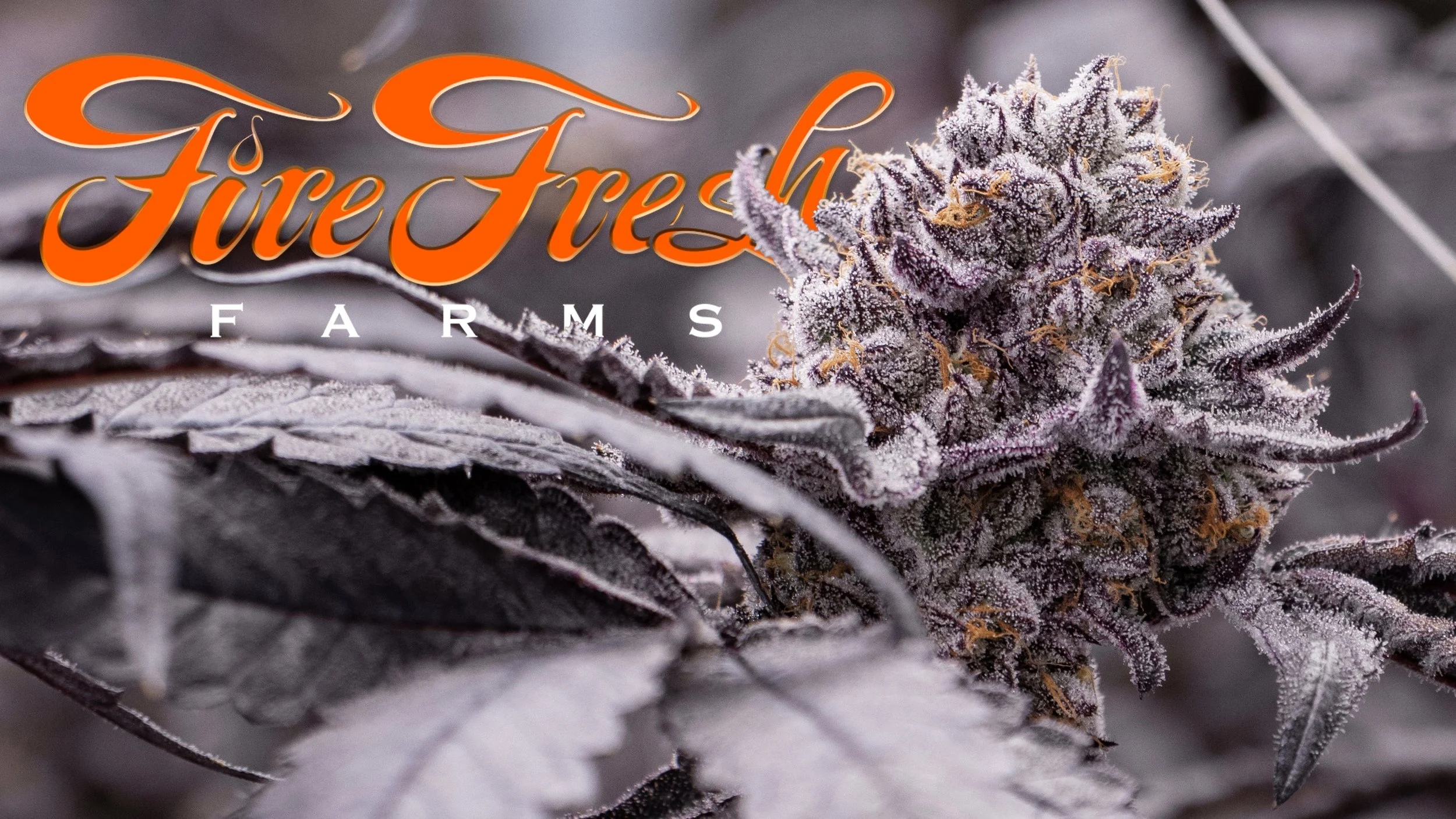 Fire Fresh Farms - Oklahoma