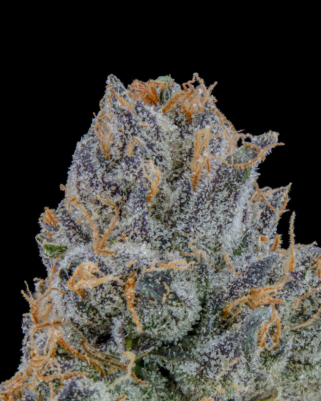 BLUE RUNTZ - FUNKS SHOOT 1  - CURED MENU-2.jpg