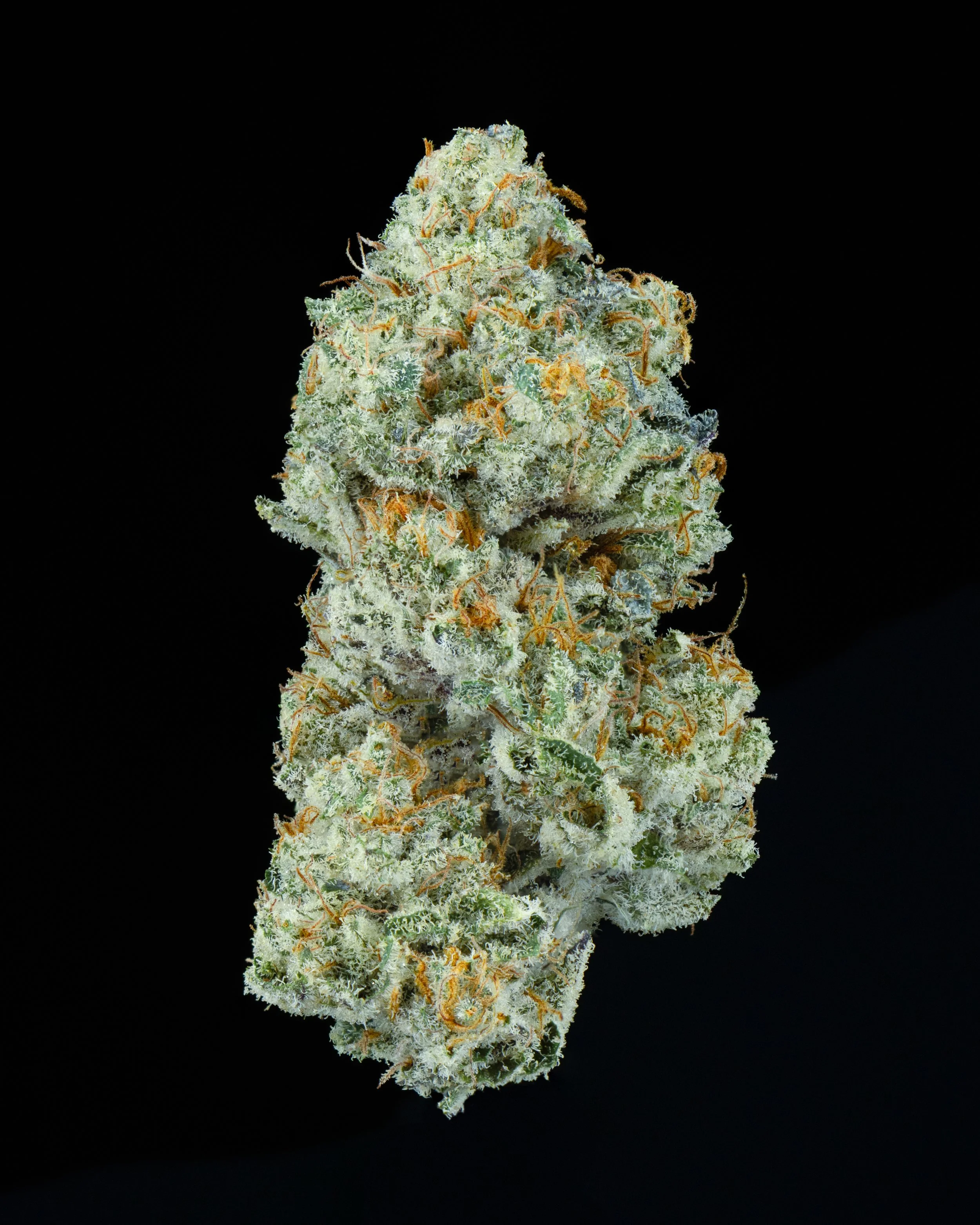 FLYING TRIANGLE CHOKE SINGLE NUG BLACK.jpg