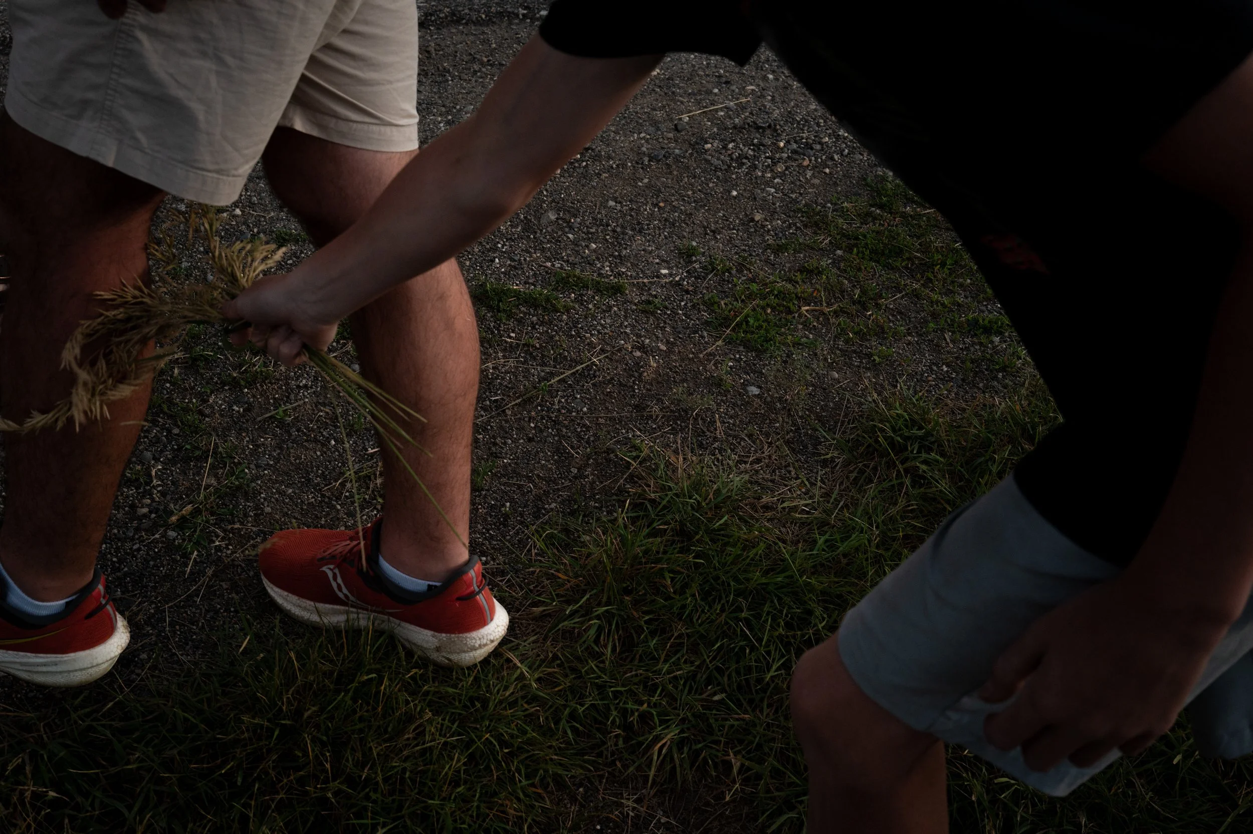 Two people outdoors, one holding a bunch of wheat or grass. The ground has grass and dirt. One person is wearing beige shorts and red sneakers, while the other is wearing black shorts or pants.