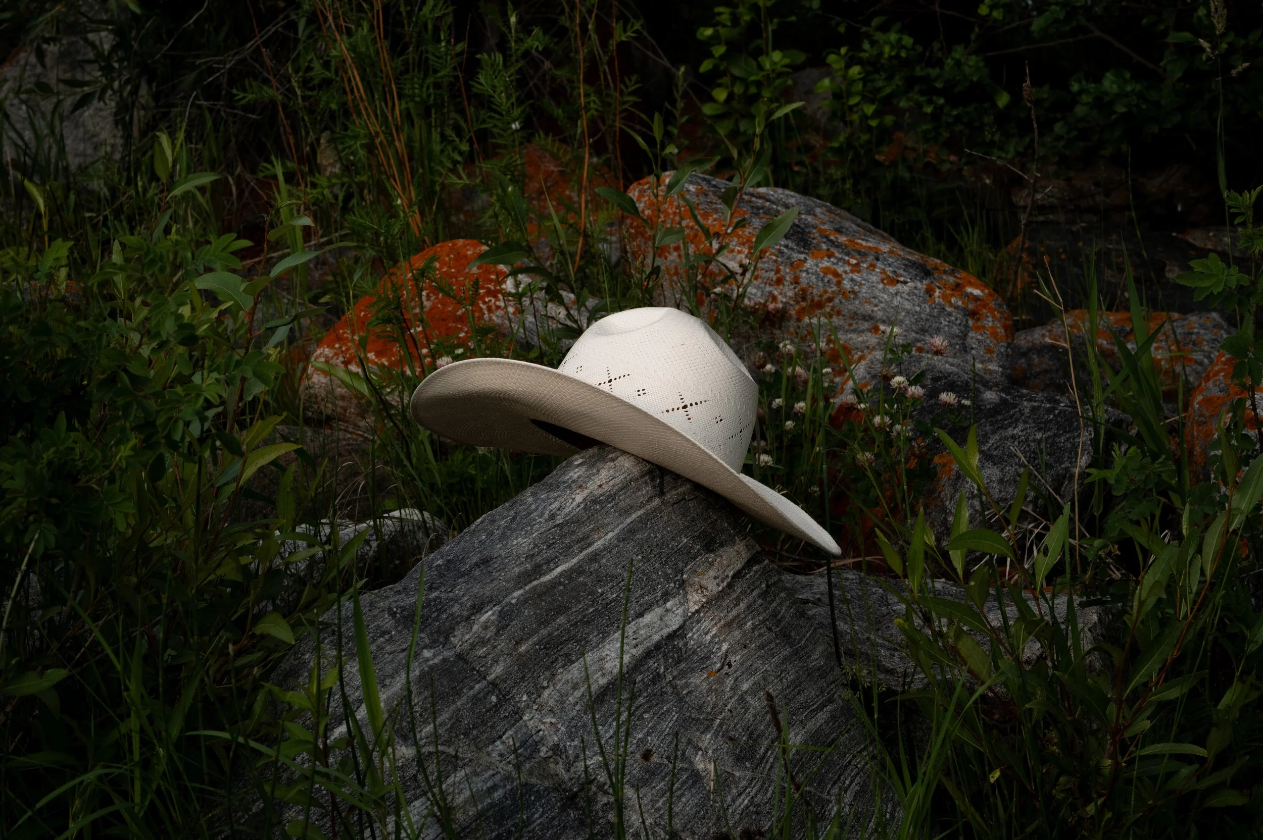 A white cowboy hat resting on a large gray rock in a natural setting with grass and orange lichen-covered rocks.