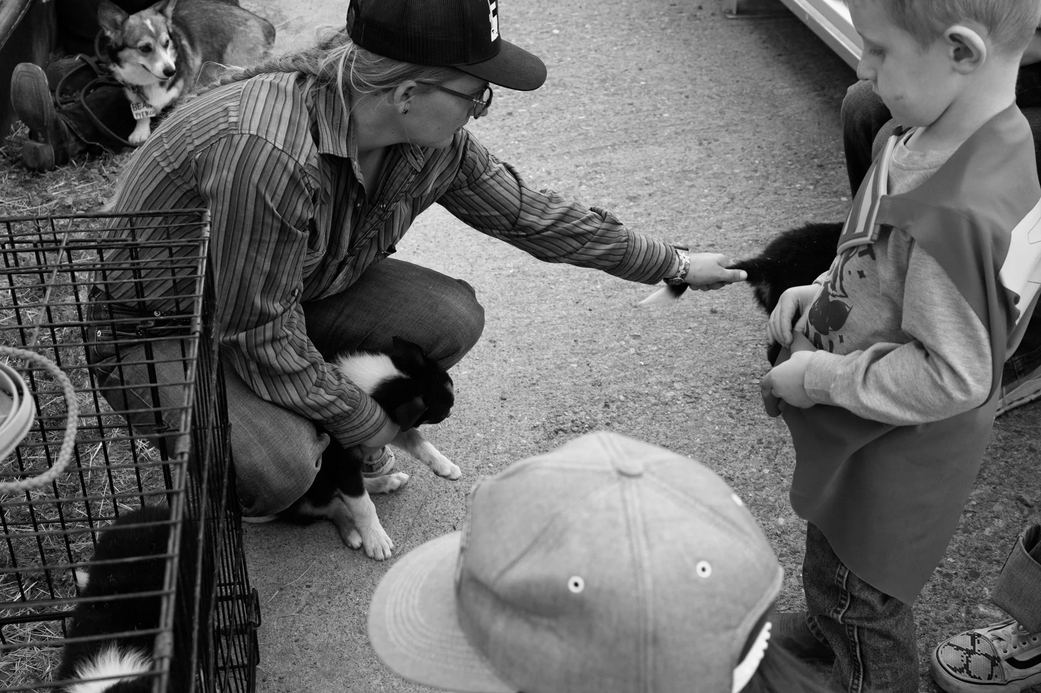 A woman crouches down to pet a rabbit held by a young boy, with children nearby and a dog lying on the ground.