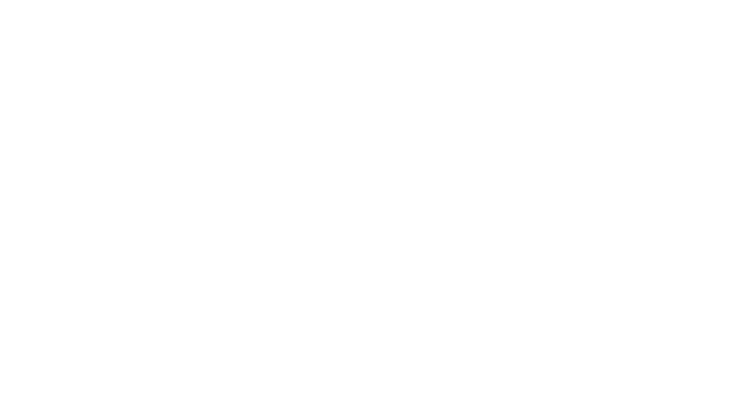 Consciously Curated Home