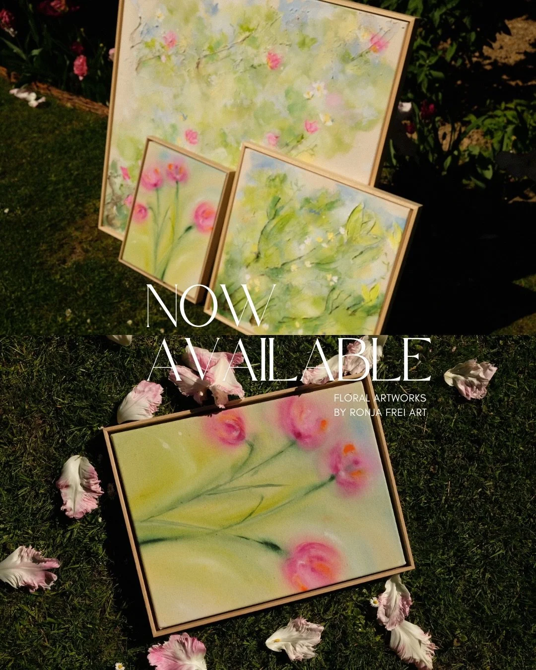 3 NEW FLORAL ARTWORKS are now available 🍃🌺
Send me a message if you are interested or check out my website.💌

Shipping EU wide
#floralartwork #abstractart #flowers #art #paintings