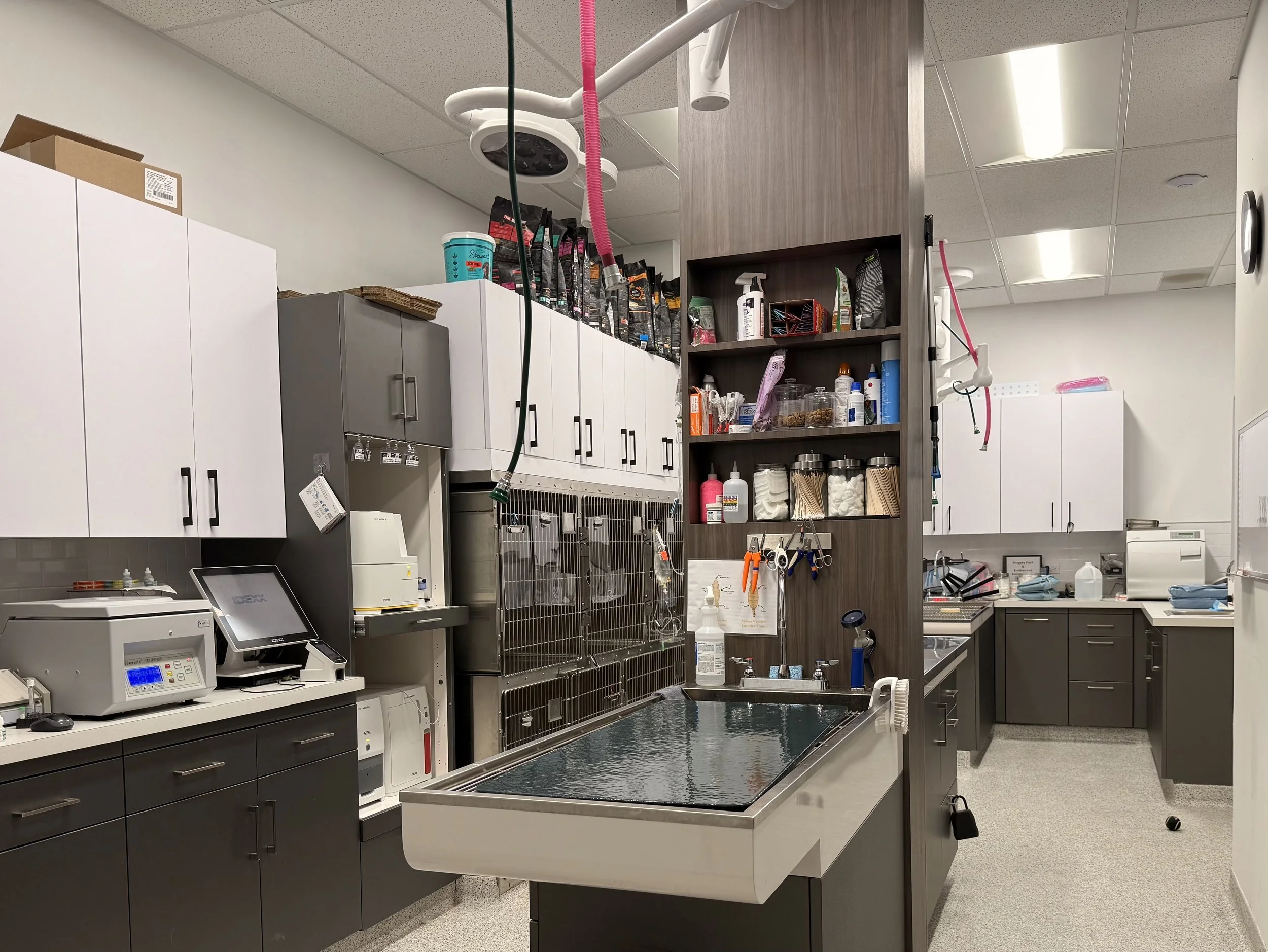 Veterinary clinic treatment room with new lighting and power