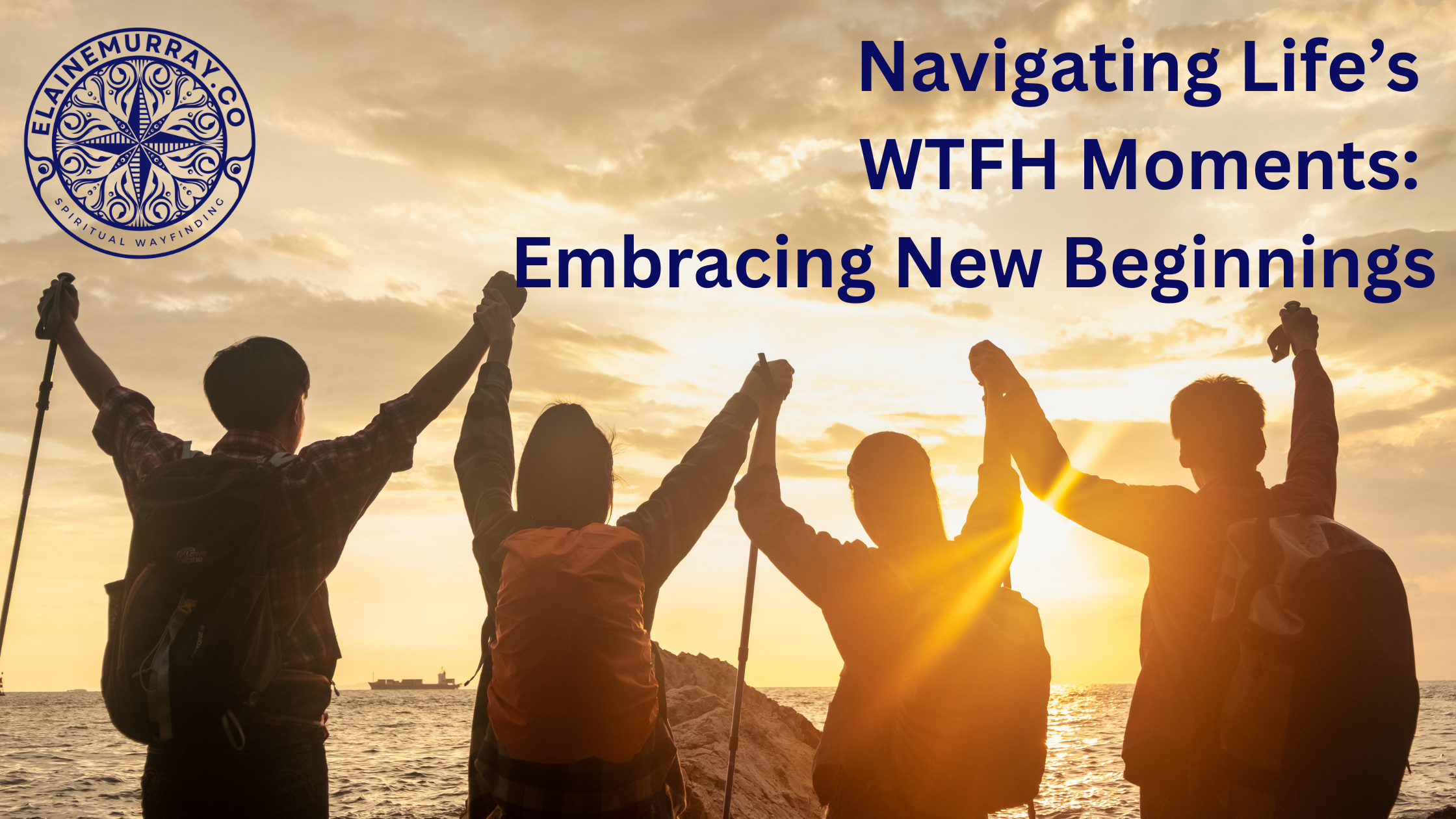 ✨ Navigating Life’s WTFH Moments: Embracing New Beginnings