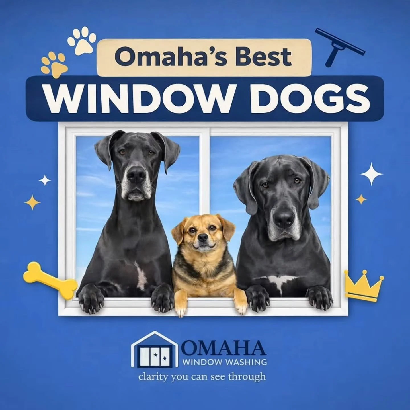 We clean a lot of windows&hellip; but honestly, the best part of the job is the variety of dogs we meet along the way.

So we figured we&rsquo;d start sharing them.

Welcome to Omaha&rsquo;s Best Window Dogs 🐾

This is easily one of the most enjoyab