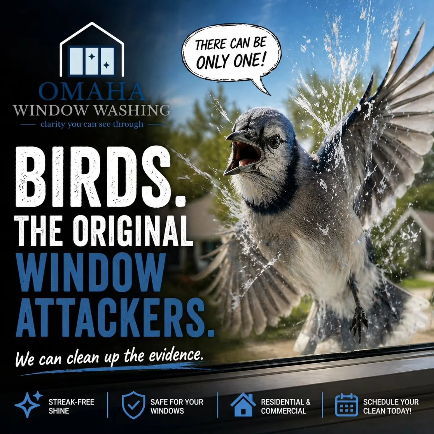 Spring in Nebraska: flowers bloom, lawns wake up, and birds start beefing with their own reflection like it owes them money.

If your windows suddenly look like this, you are probably dealing with territorial birds attacking the glass. They see their