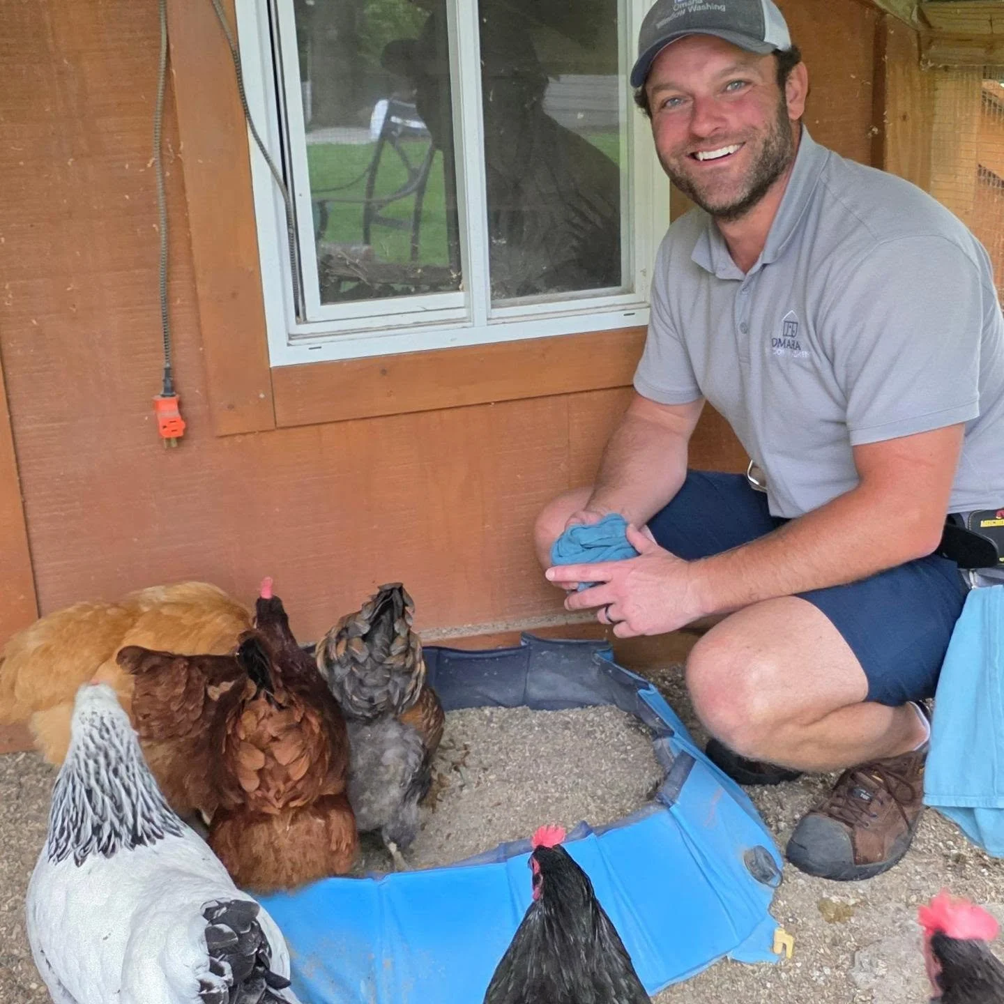 Today&rsquo;s Omaha&rsquo;s Best Window Dogs feature is technically not a dog.

It is an entire chicken delegation. 🐔

These ladies were preparing for a big graduation party at the house, but unfortunately they were placed on temporary house arrest 