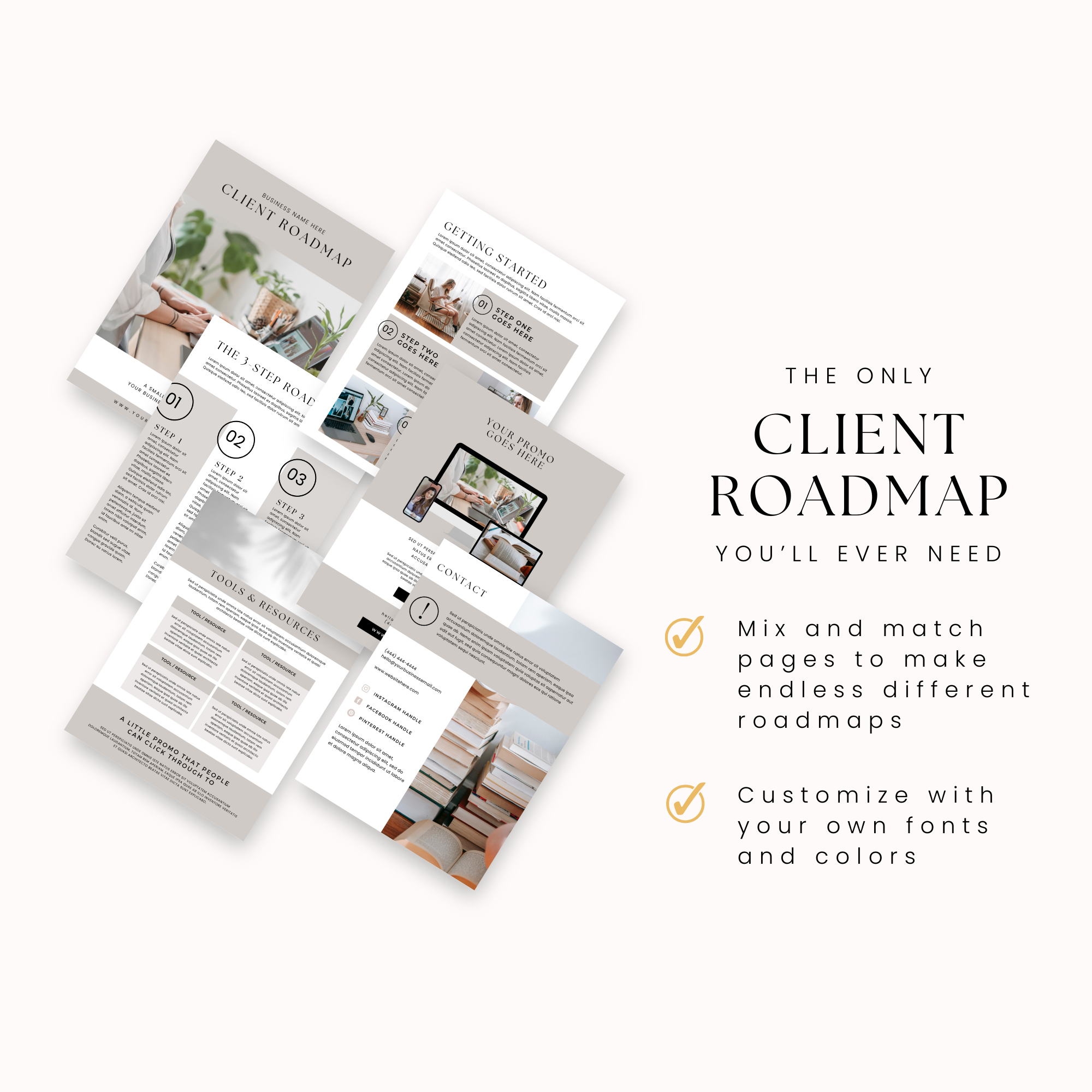 client roadmap (4).png