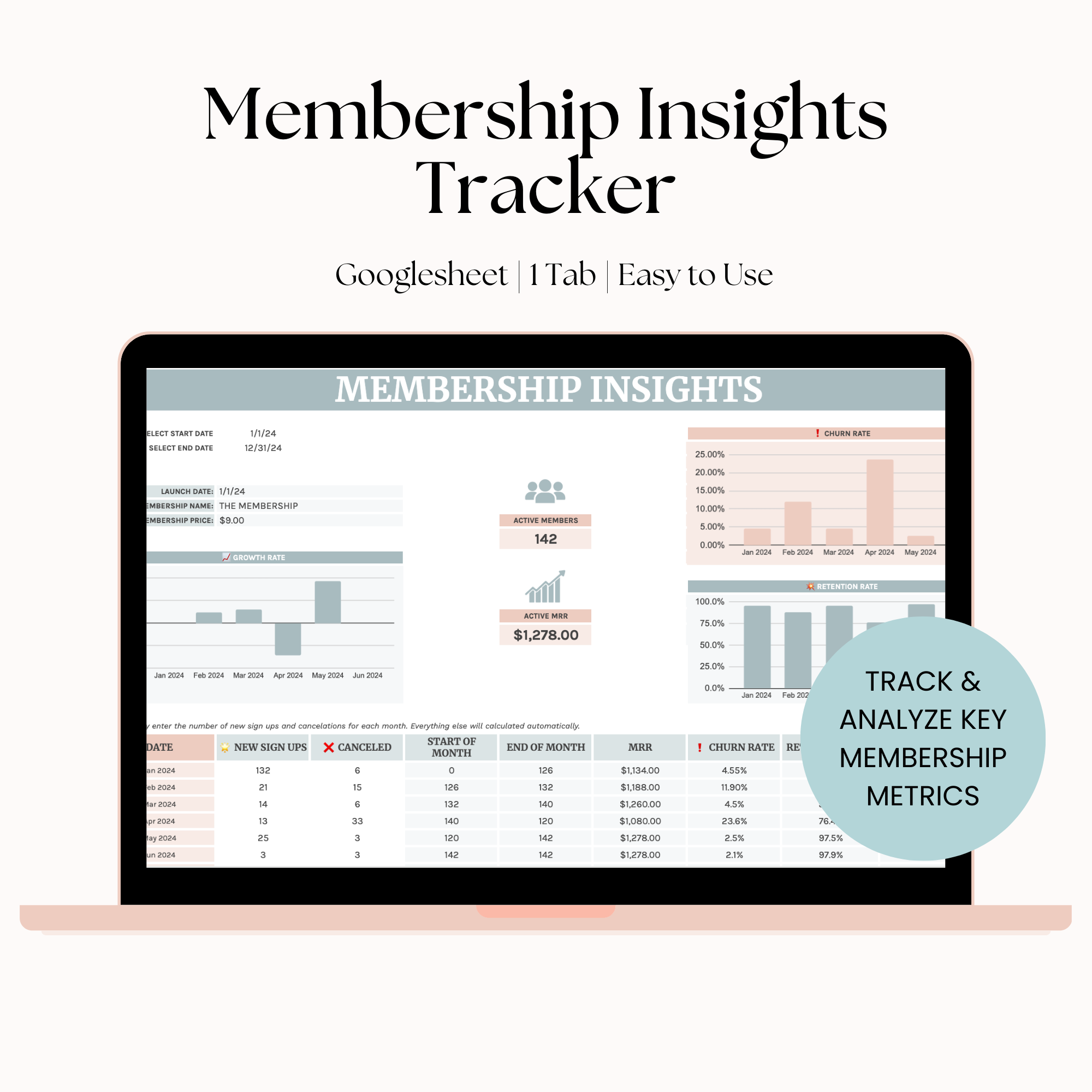 Membership Insights Google Sheet Tracker
