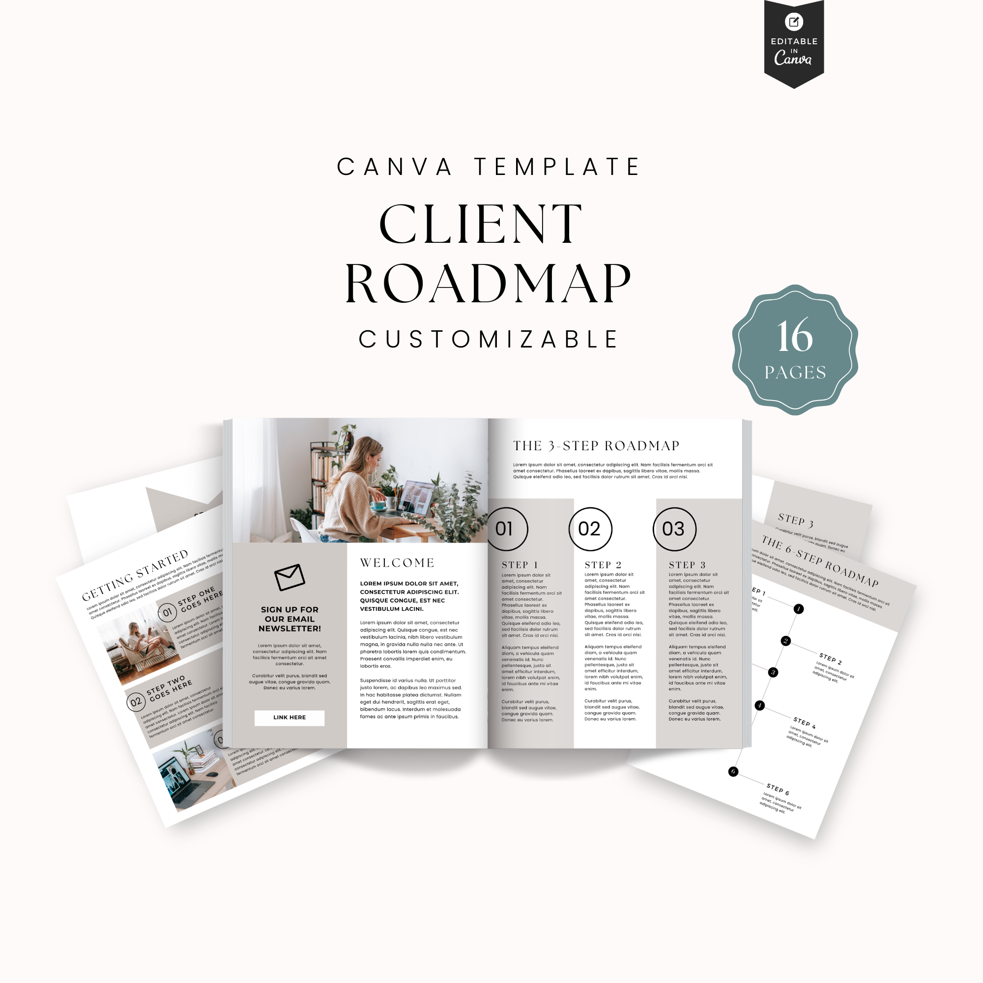 client roadmap (2).png