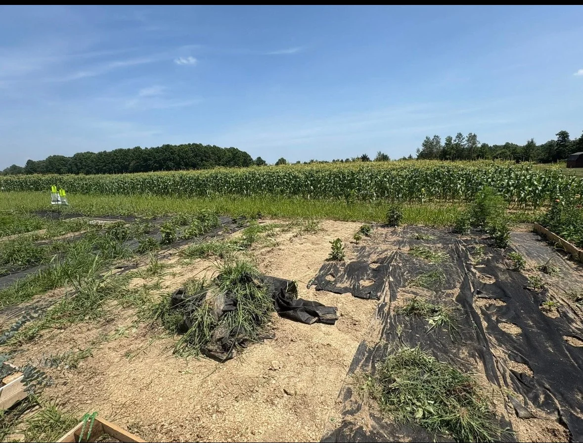 The Part We Don’t Talk About: Flower Farming and Loss