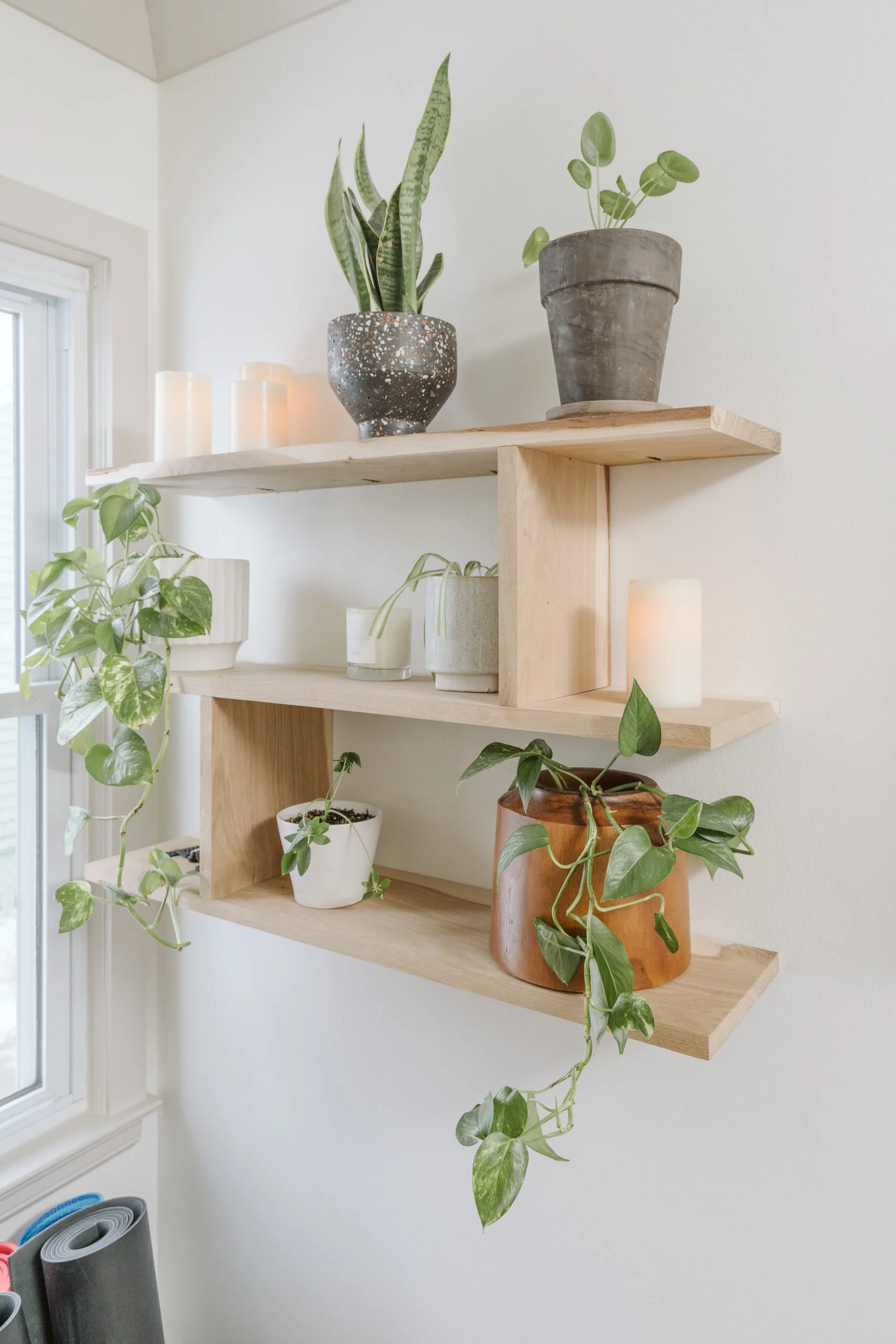 OUR FAVORITE PLANTERS