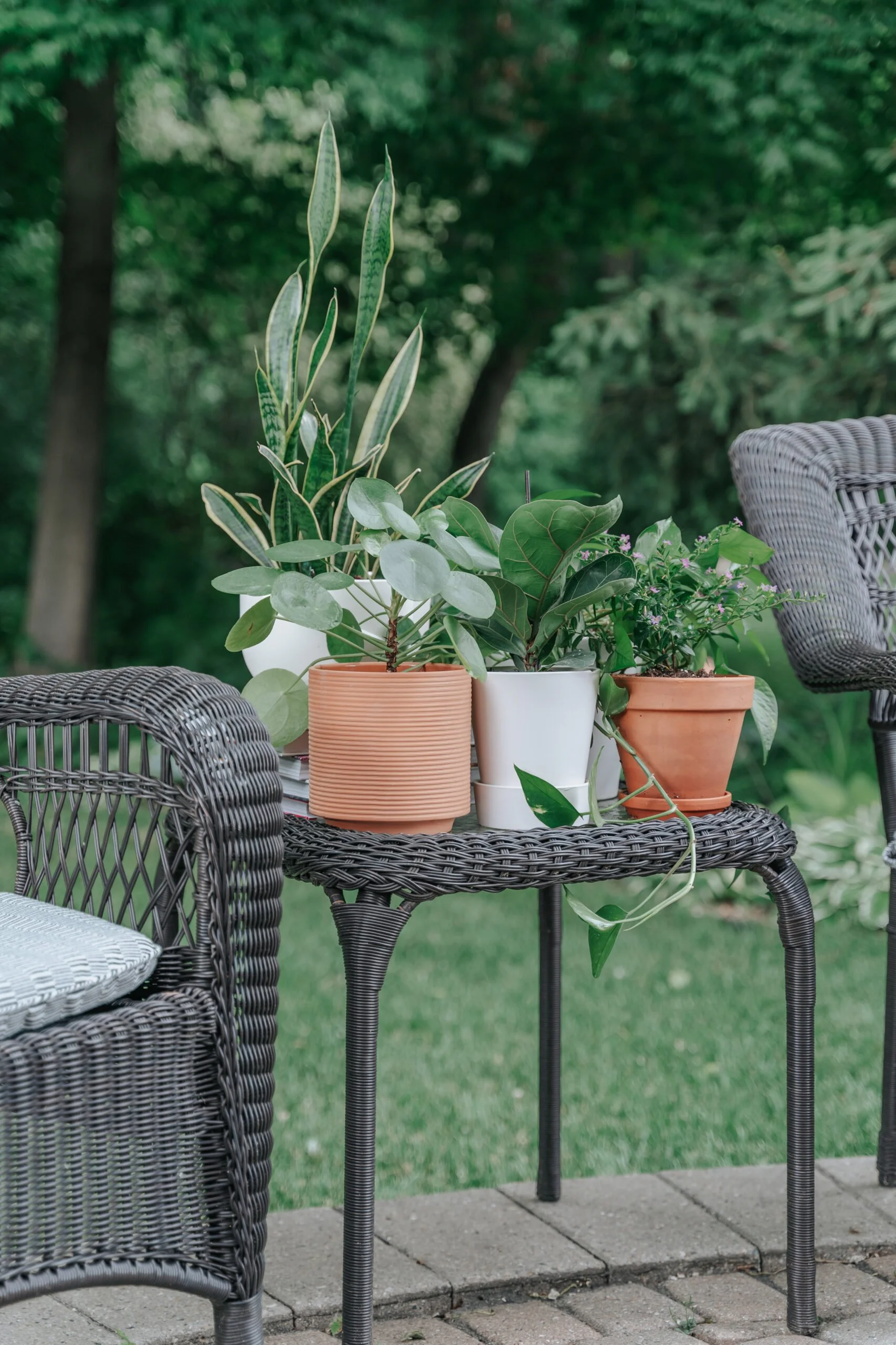 Our Favorite Exterior Planters