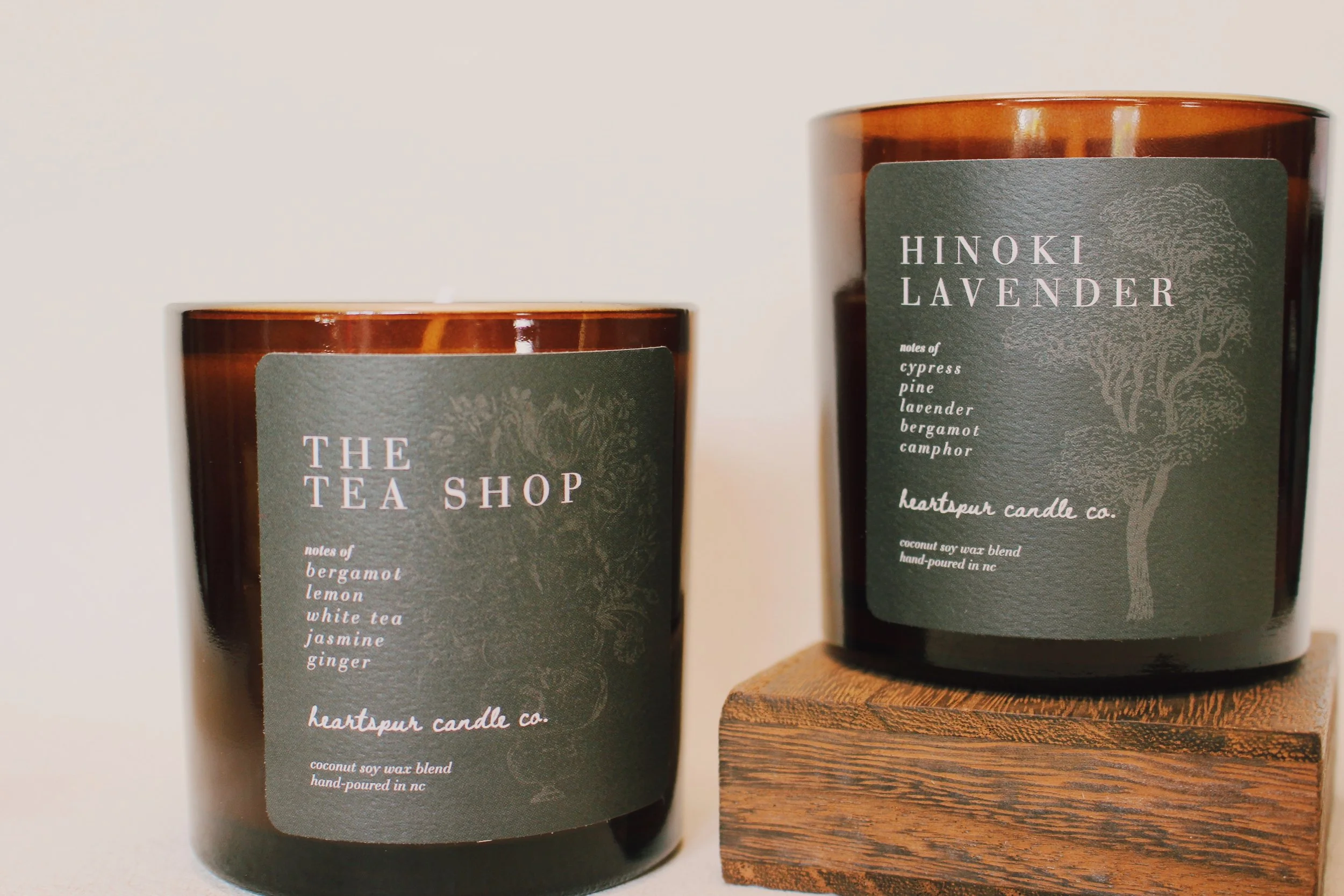 the morning light set