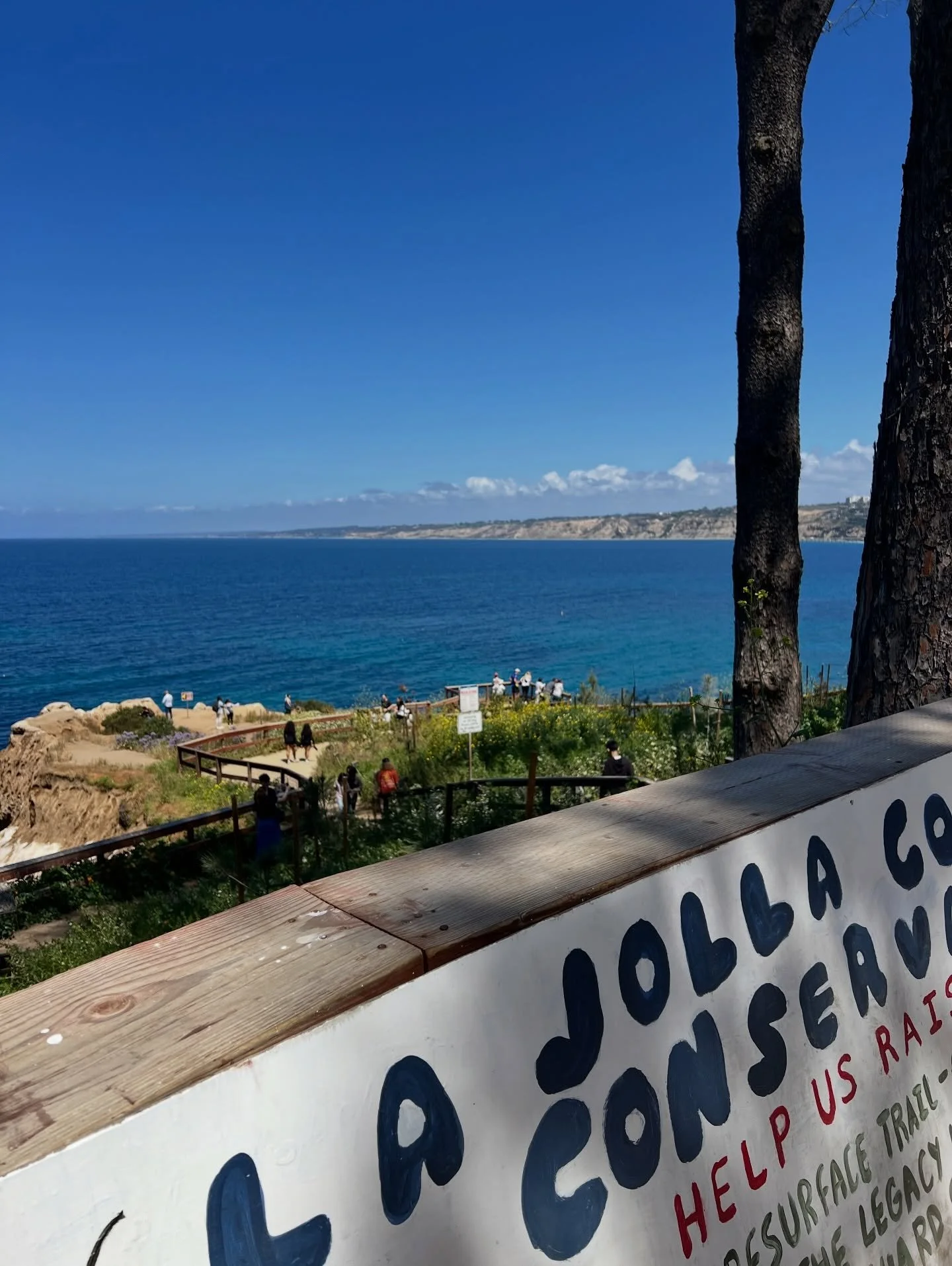Day One of our California Coastal Adventure 🤍

Stopped at LaJolla Cove and watched the sea lions and seals sunbathing like they owned the place...which I suppose they do 😎

Then we made our way up the coast and stopped in Malibu for lunch at Malibu