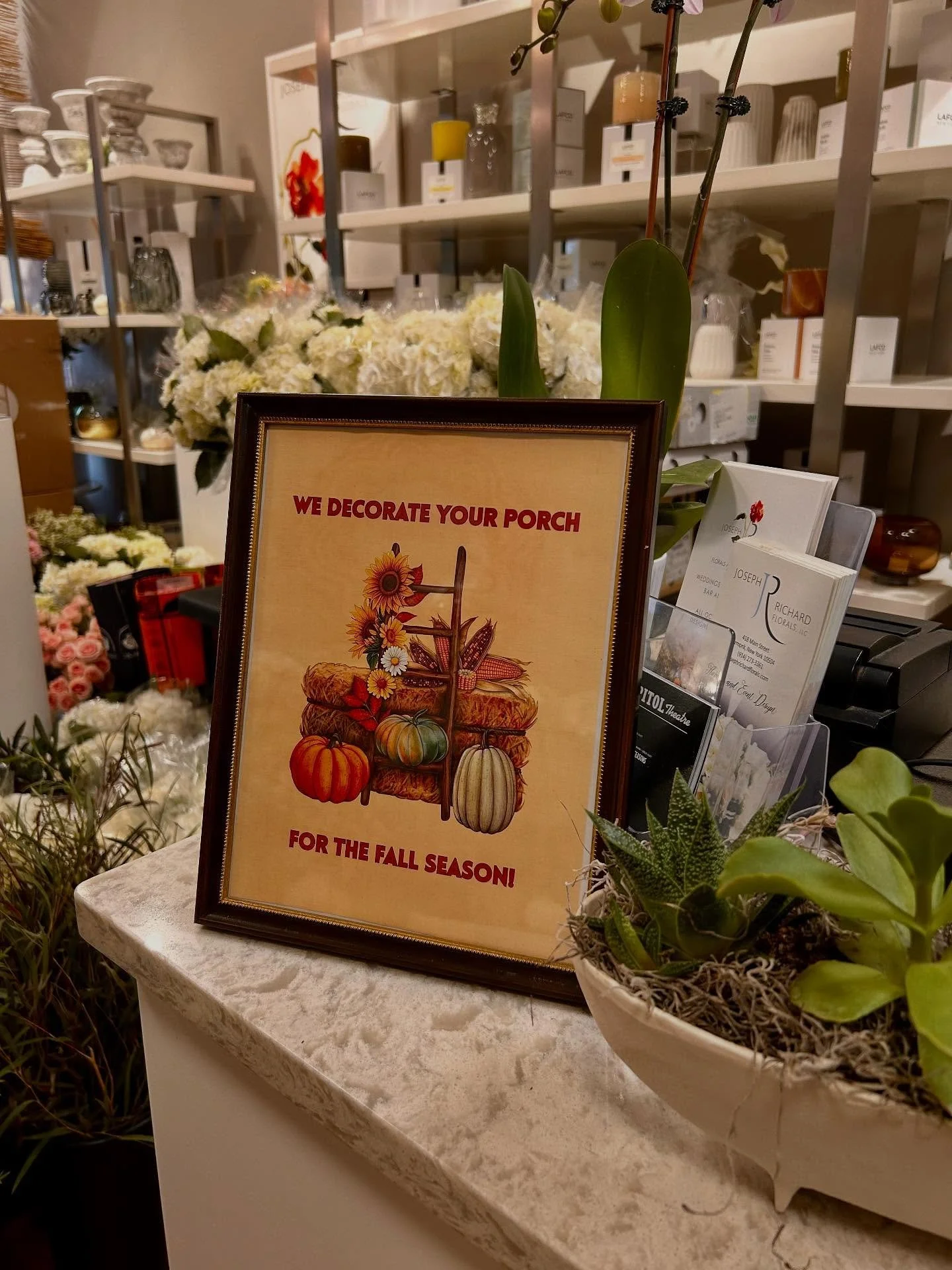 🍂✨ We&rsquo;ll turn your porch into the perfect fall welcome with hay bales, mums, corn stalks, cabbages, and gourds! 🎃🍁 #haybales #pumpkin #falldecorations #cornstock #autumndecorations