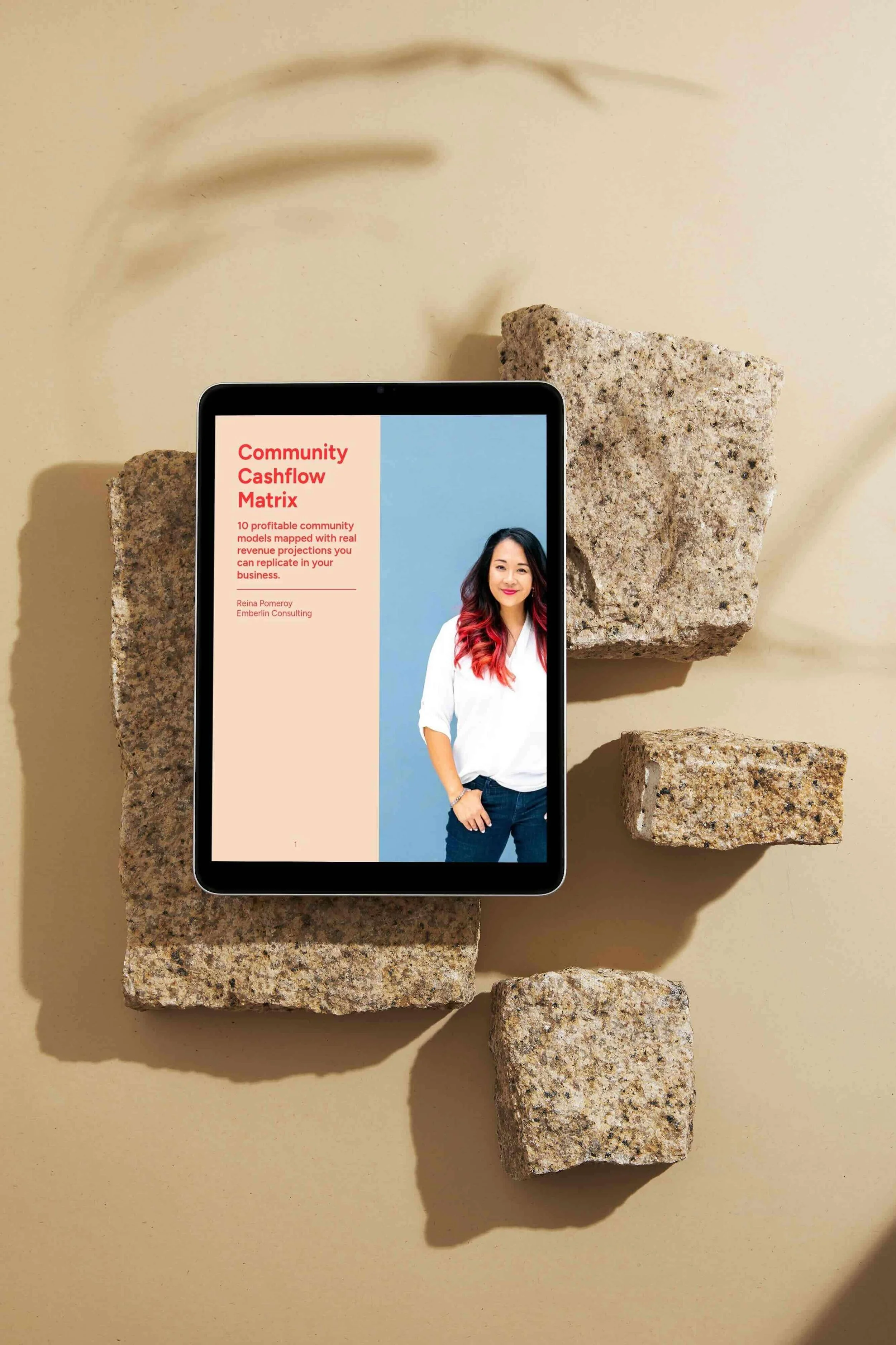 Community Cashflow Matrix on ipad - image background tan with shadows and image of rocks