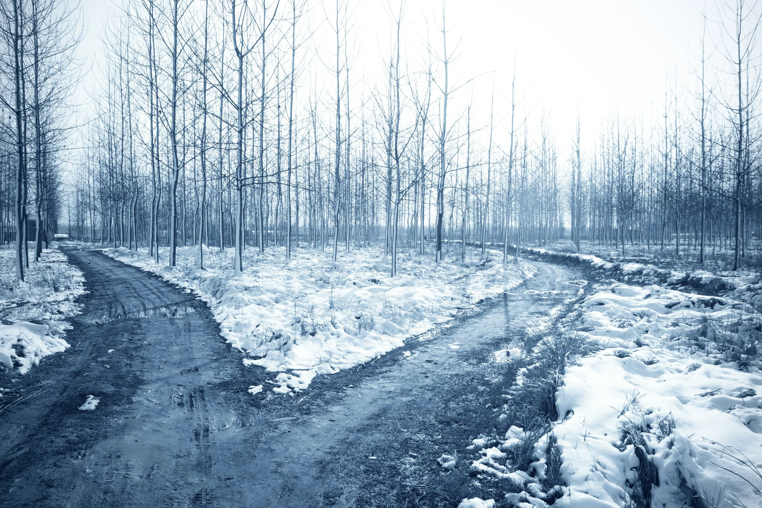 What is Moral Injury: When the Work You Care About Starts Violating Your Values