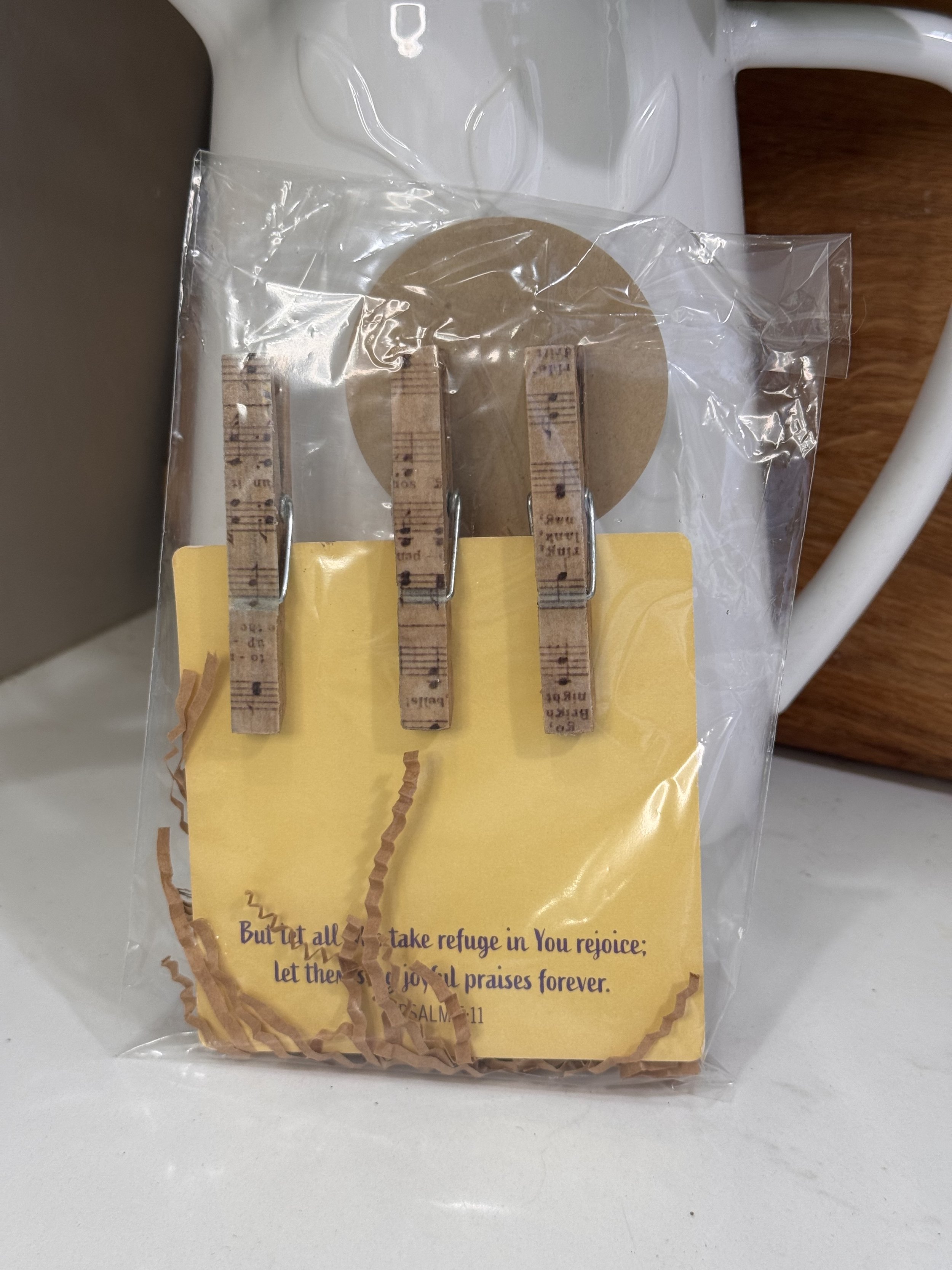 Stained Music Clothes Pins