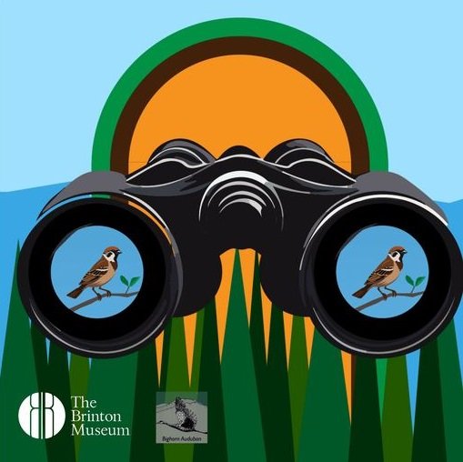 Birding at The Brinton 
