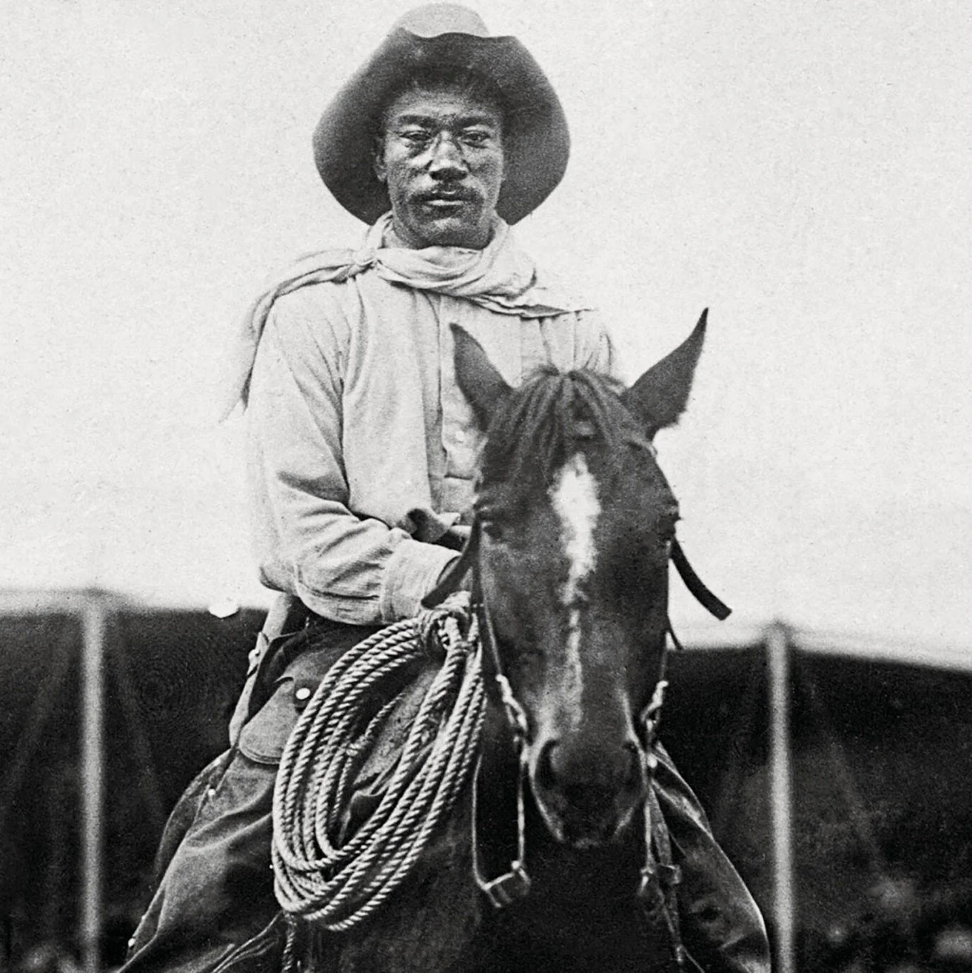 The All American Black Cowboy: Bill Pickett