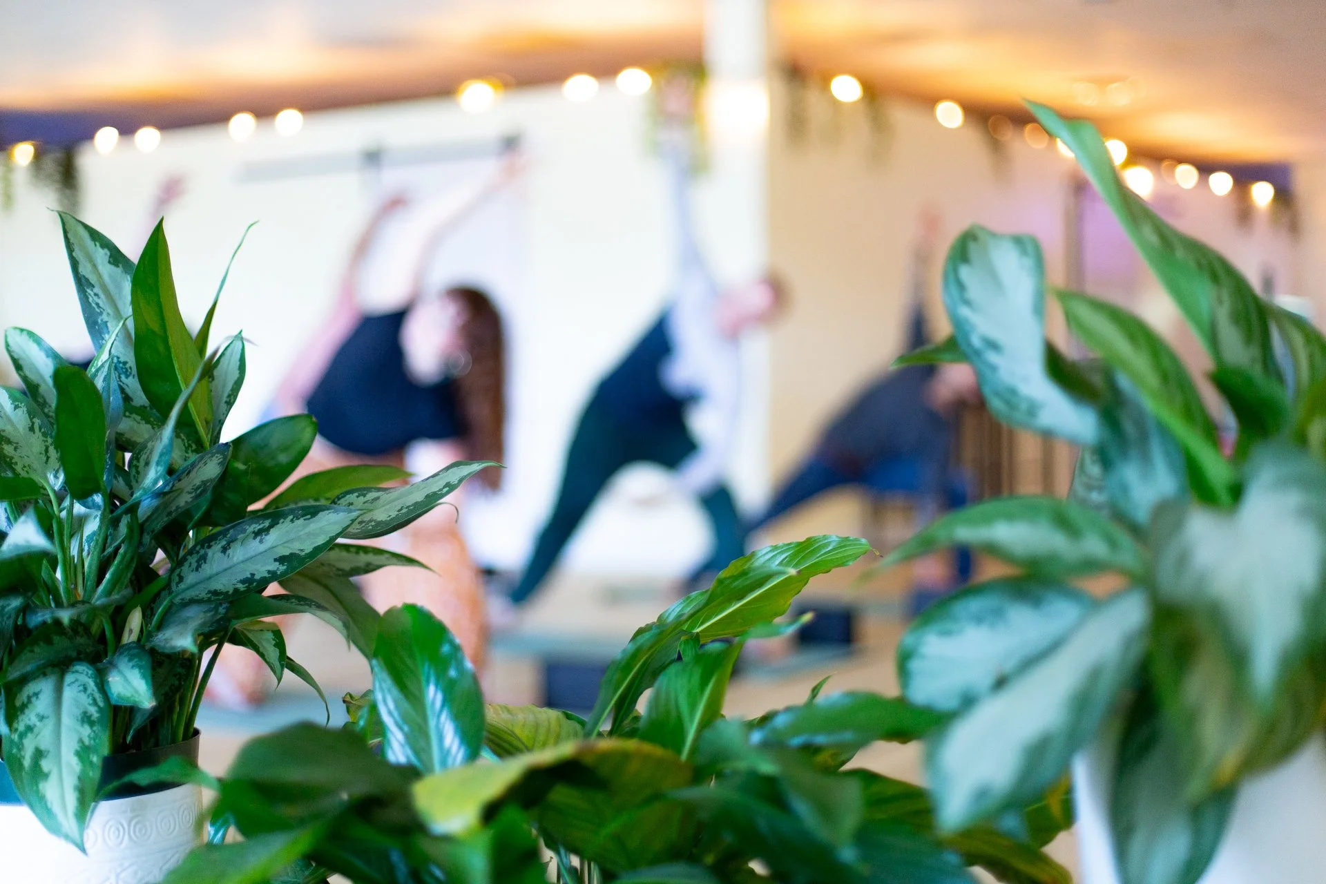 Reductionism, but to illustrate a point