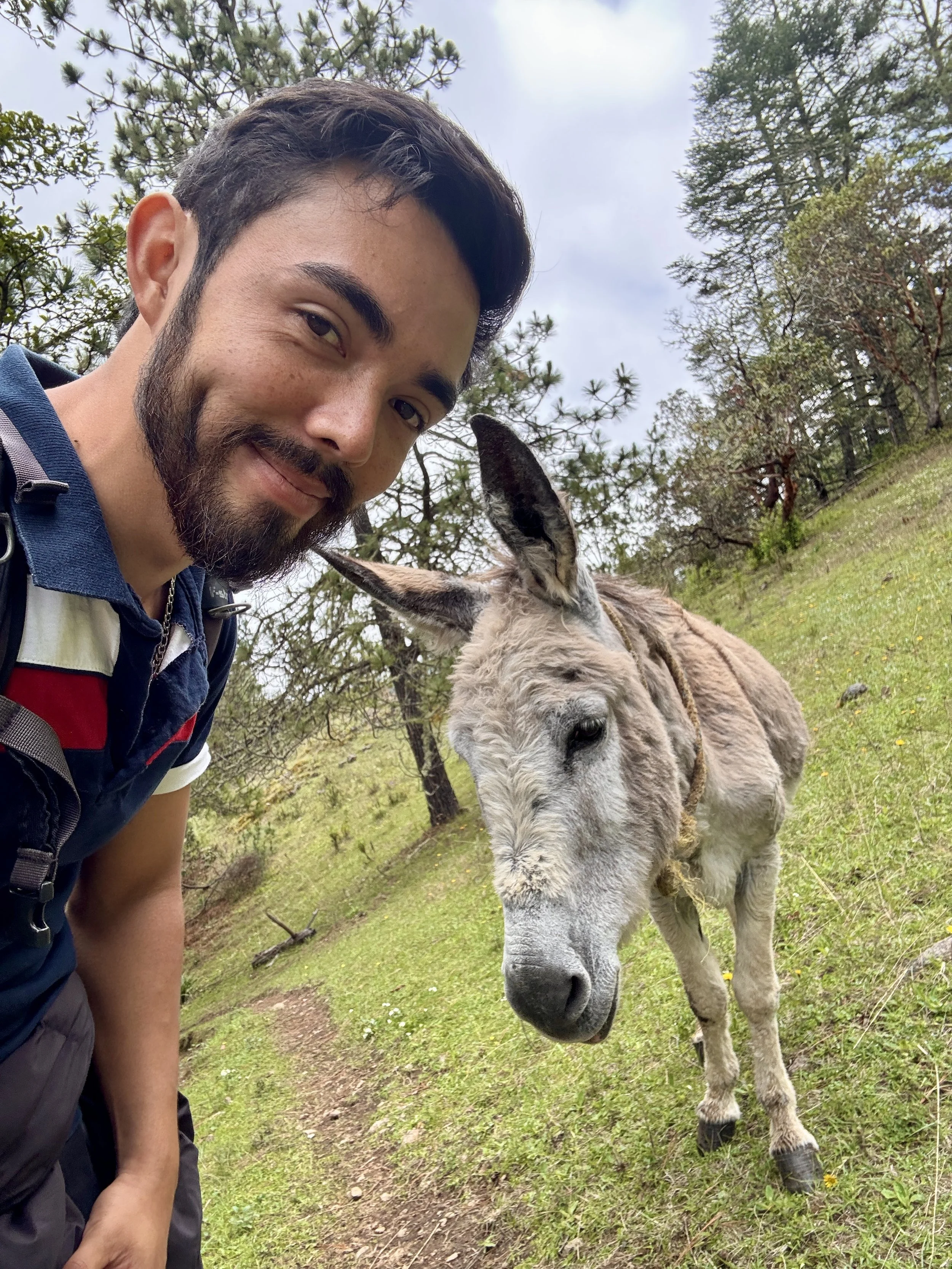 Professional photographer and videographer in Cozumel