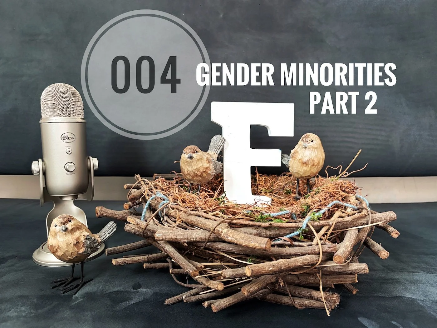 YOFcast 004: Gender Minorities, Part 2