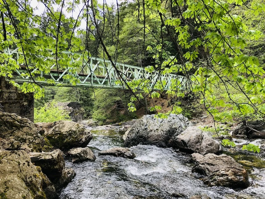 A green metal bridge crossing over a rocky river in a lush, green forest.
