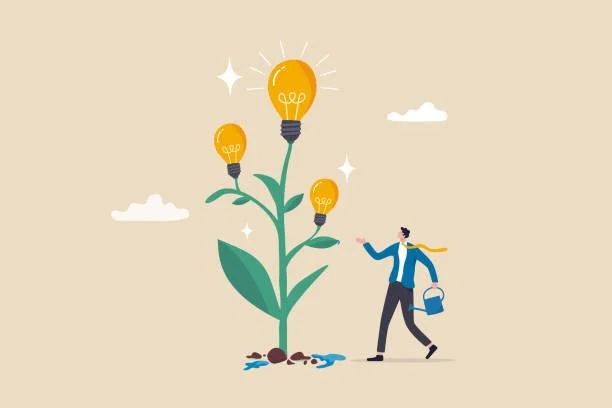 Virtual CFO vs Accountant: What’s the Difference and Which Does Your NZ Business Need?