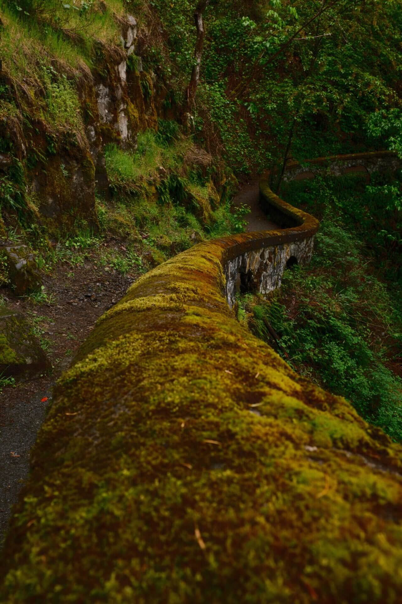 Winding Path