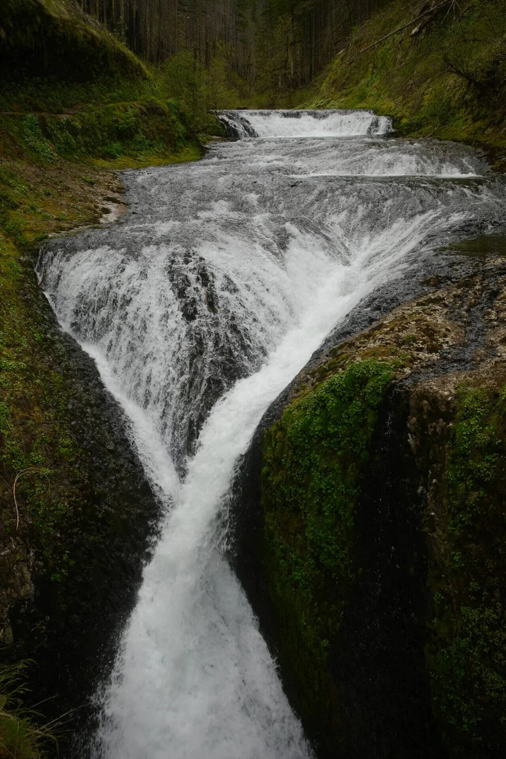 6.2mi Twister Falls