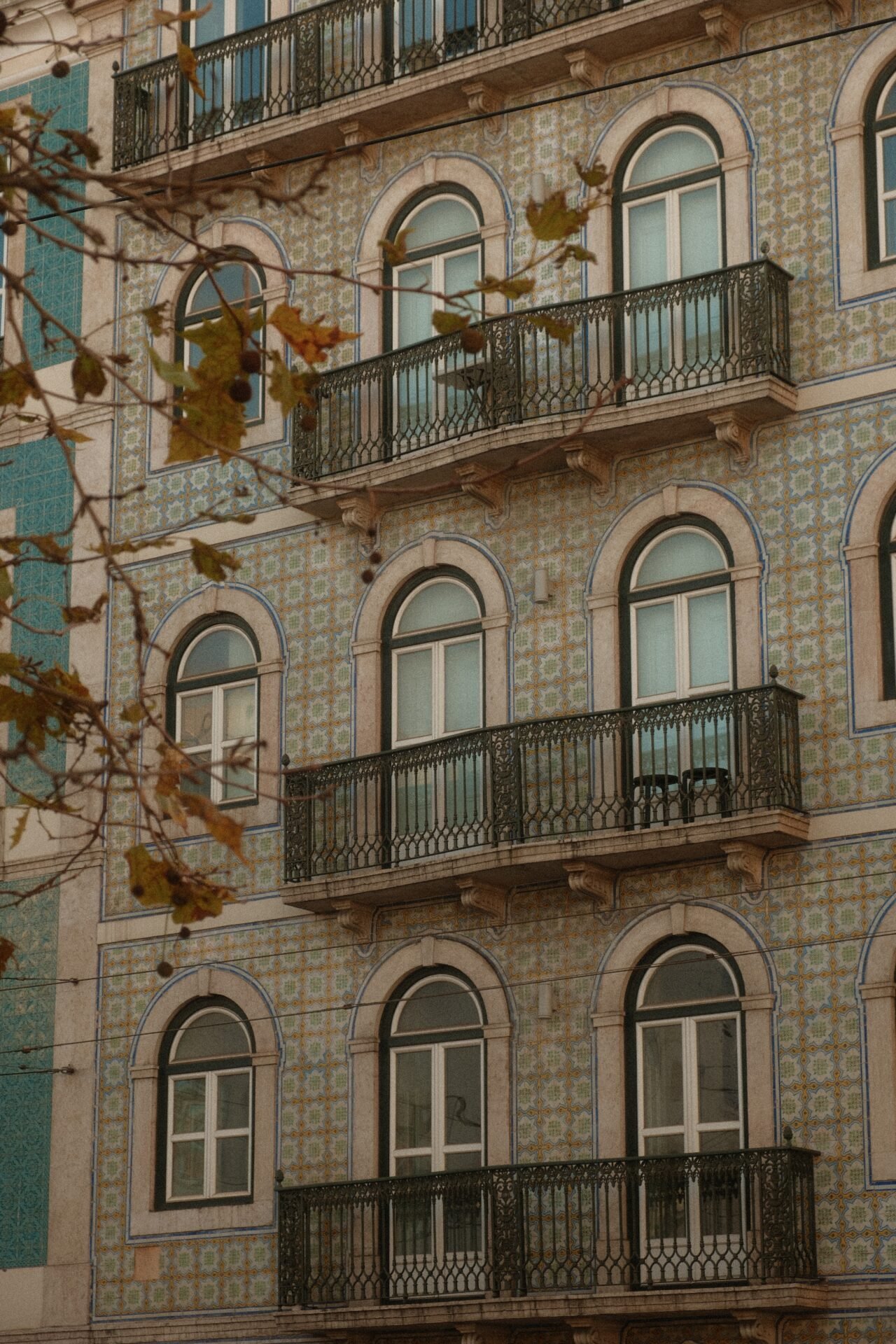 Blue Windows