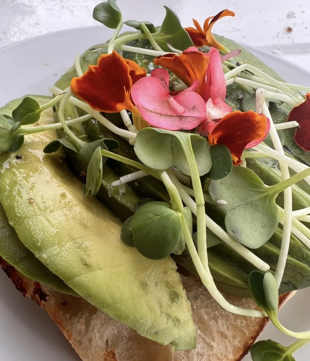 Avocado Toast