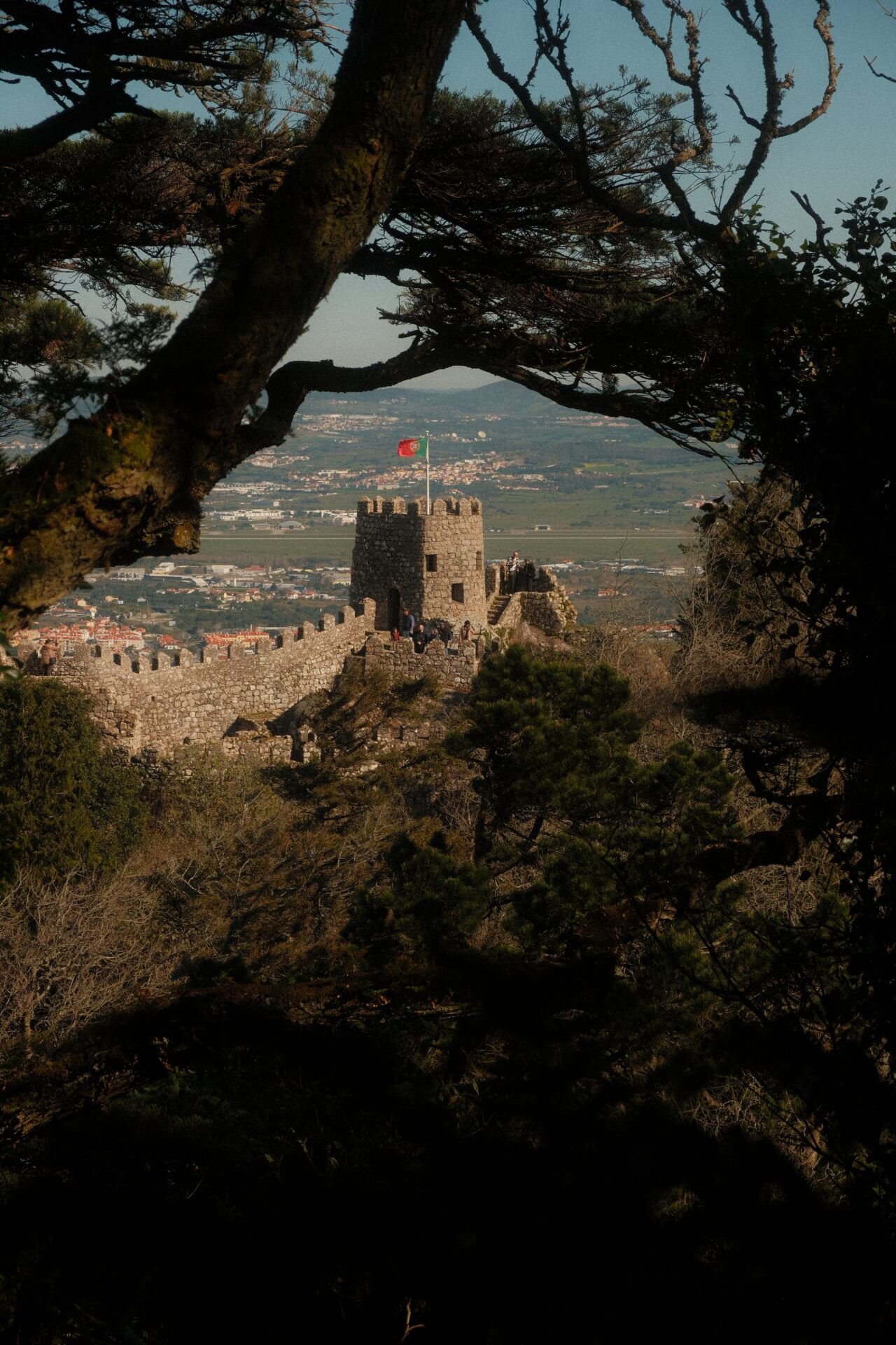 Castle in the Branches